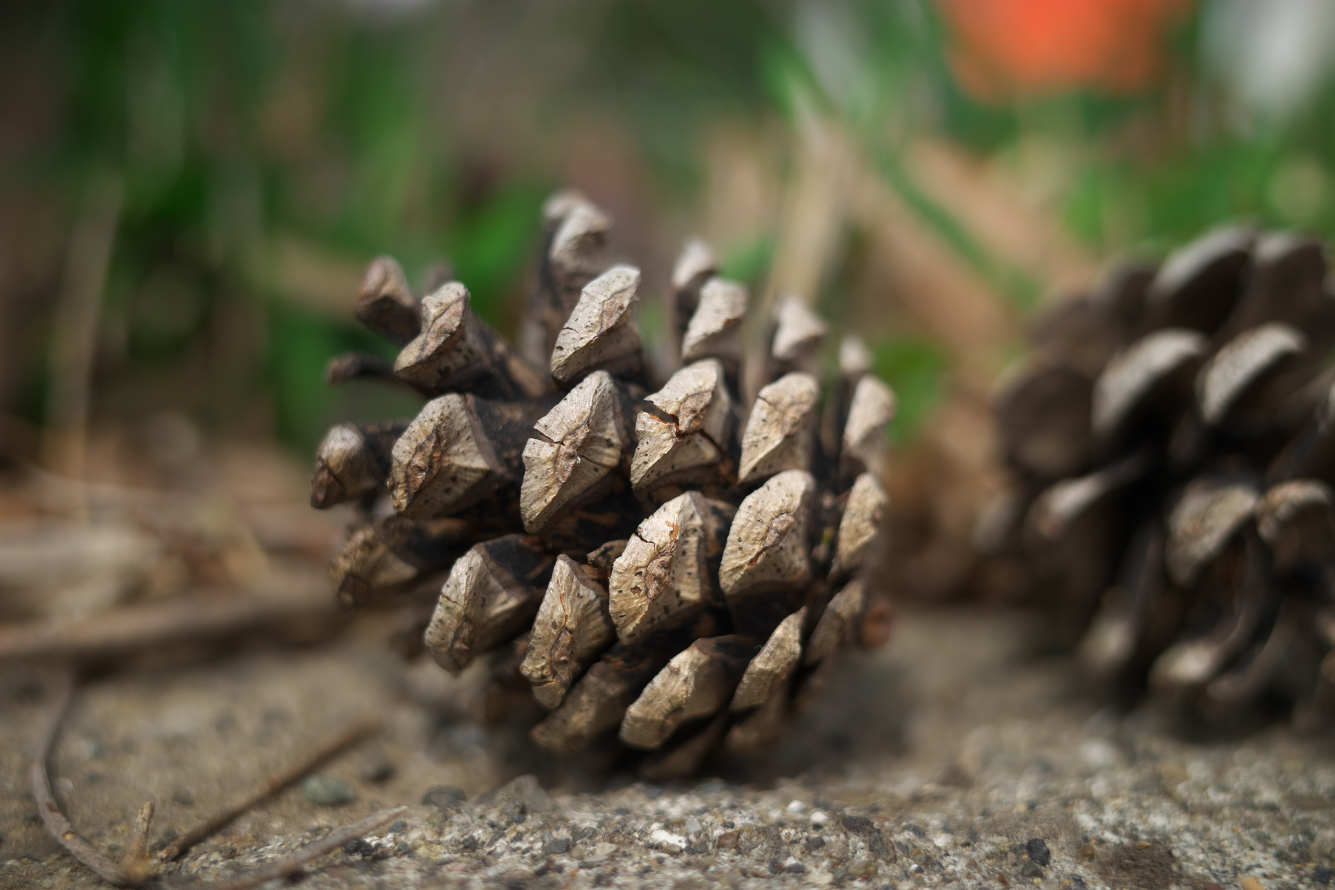 <span class="fnt-85">GR III／18.3mm（28mm相当）／絞り優先AE（1/400秒、F2.8、−0.7EV）／ISO 100</span>