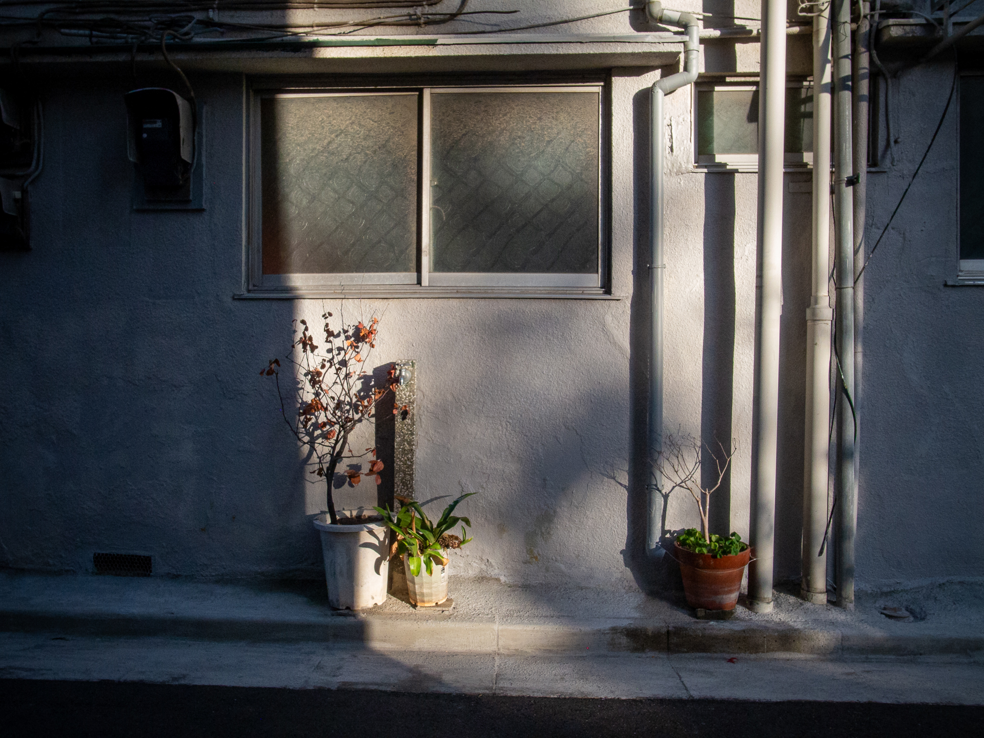 センサーが小さいカメラはダイナミックレンジが狭いという常識があるのですが、本機の場合はかなり優秀なのでは。もちろん、ここから手を入れれば、もっとシャドーの描写を明確にできます。<br><span class="fnt-85">GR DIGITAL IV／6mm（28mm相当）／プログラムAE（1/640秒、F5.6、−0.7EV）／ISO 400</span>