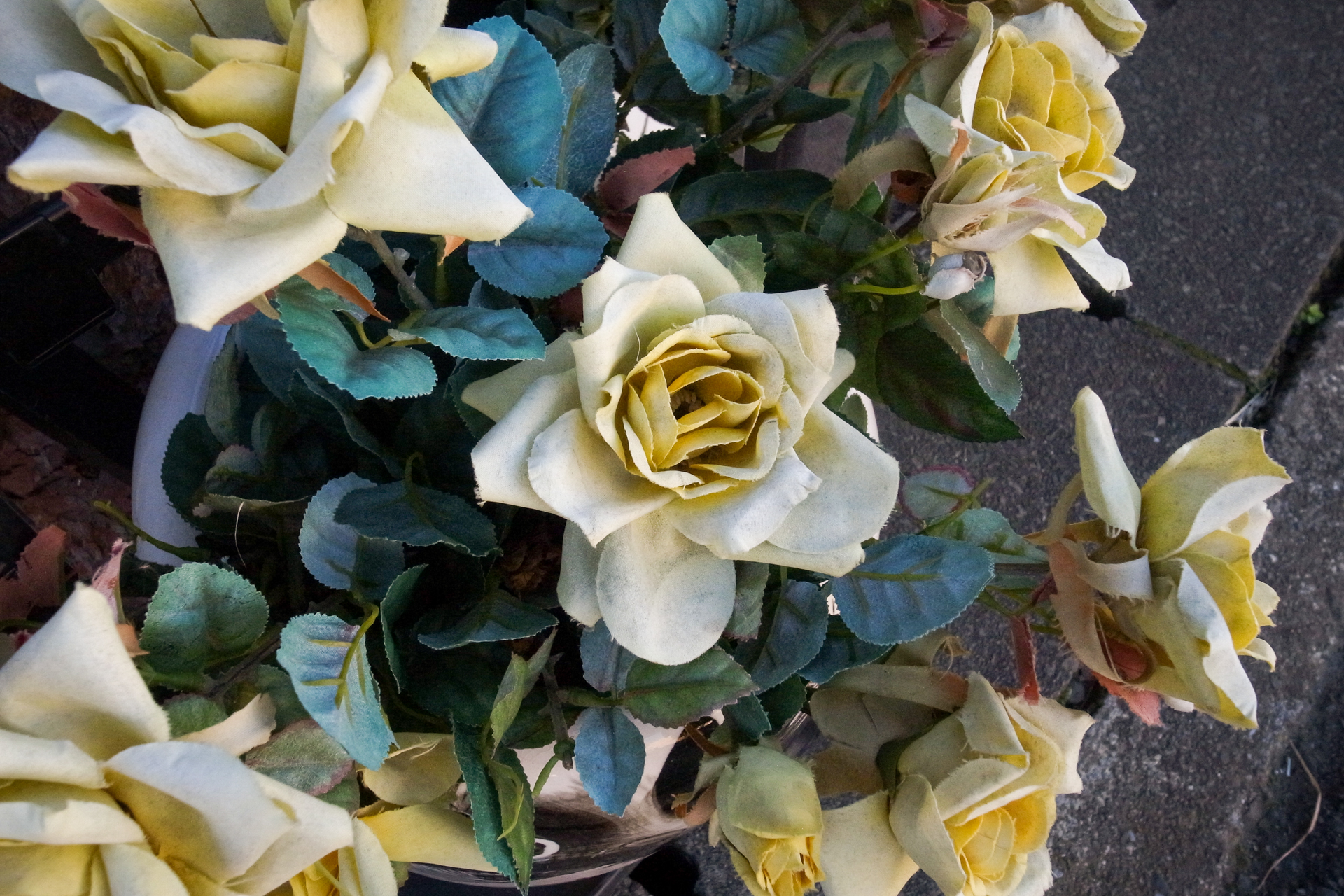 写真にしてみたら、生花よりもリアリティを感じた造花です。不思議ですよねえ。光がそう見せたのか。どのみち花を撮る意識は作者には薄いわけです。優れた描写です。<br><span class="fnt-85">GR DIGITAL IV／6mm（28mm相当）／プログラムAE（1/500秒、F5.0、−0.7EV）／ISO 400</span>