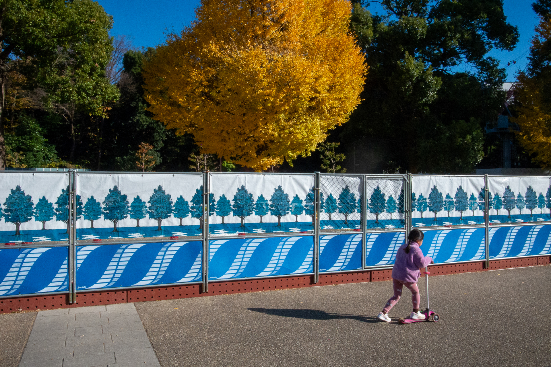 イチョウの色づきは年末になって綺麗になったような。鮮やかな黄色、インチキくさいフェンスの色との対比を撮影していたら、子供が画面を横切りました。<br><span class="fnt-85">GR DIGITAL IV／6mm（28mm相当）／プログラムAE（1/1,250秒、F9.0、−0.3EV）／ISO 400</span>