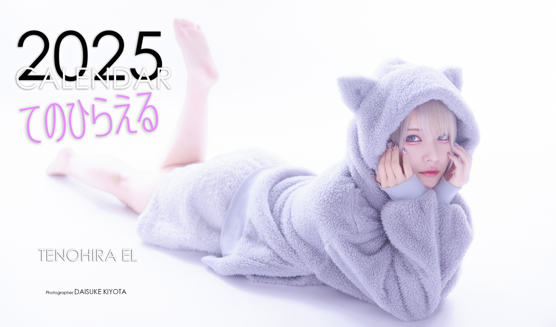 プラケース入り卓上サイズ