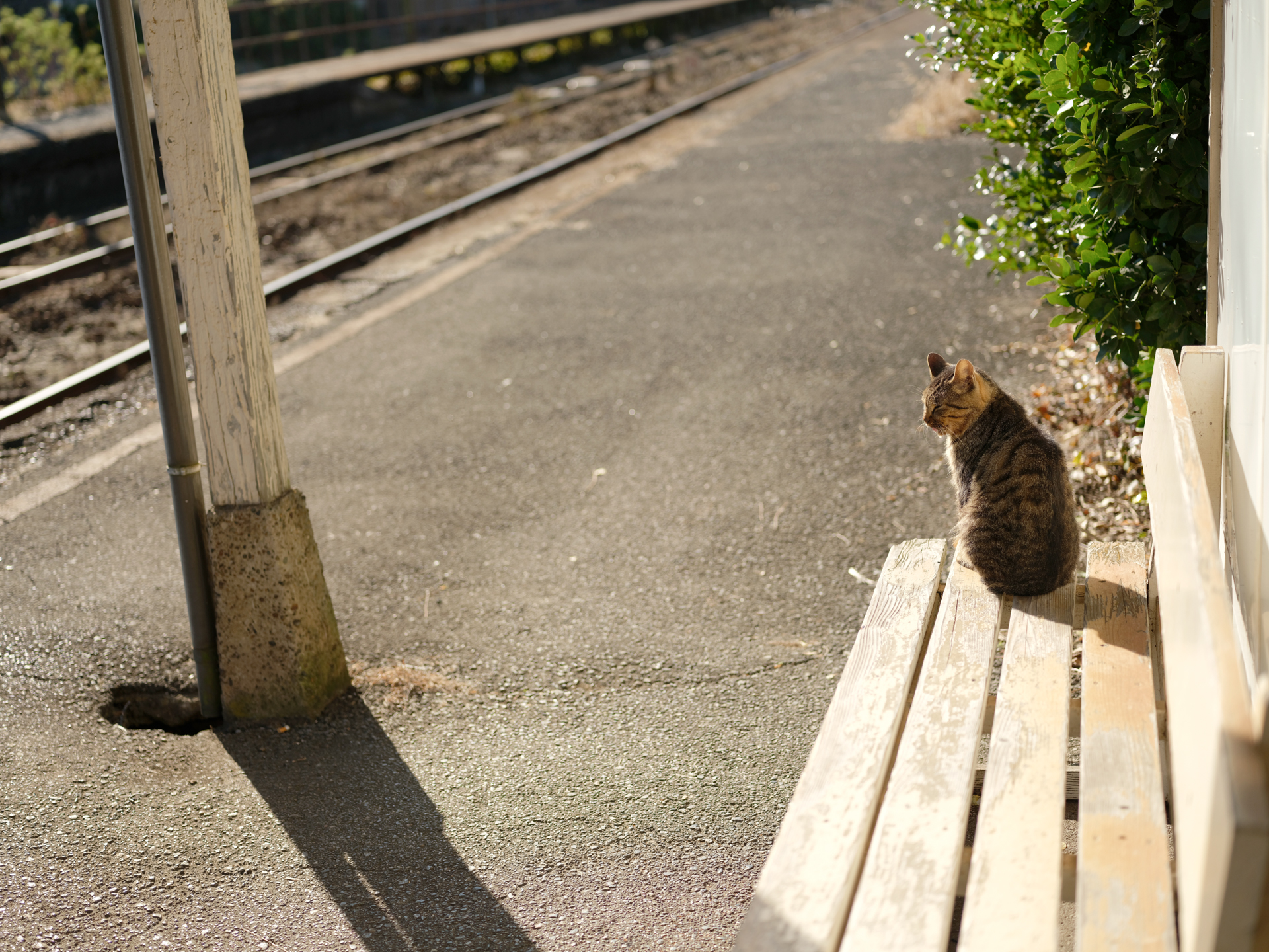 GFX100S II／GF63mmF2.8 R WR／63mm（50mm相当）／マニュアル露出（1/1,800秒、F2.8）／ISO 200