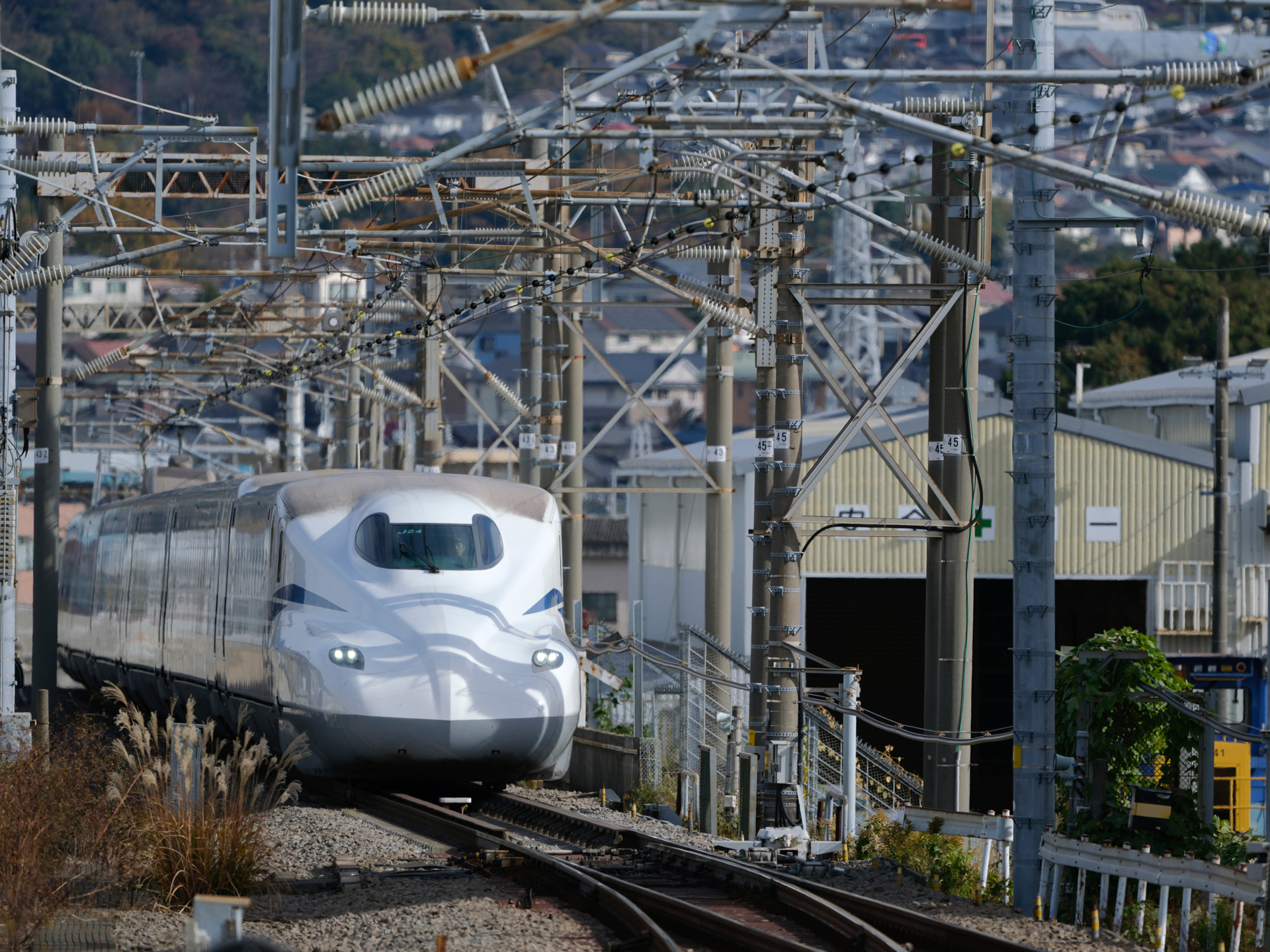 GFX100S II／GF500mmF5.6 R LM OIS WR／500mm（396mm相当）／マニュアル露出（1/3,200秒、F5.6）／ISO 400