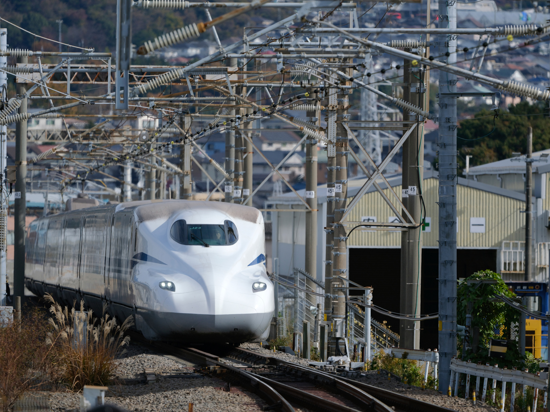 GFX100S II／GF500mmF5.6 R LM OIS WR／500mm（396mm相当）／マニュアル露出（1/3,200秒、F5.6）／ISO 400