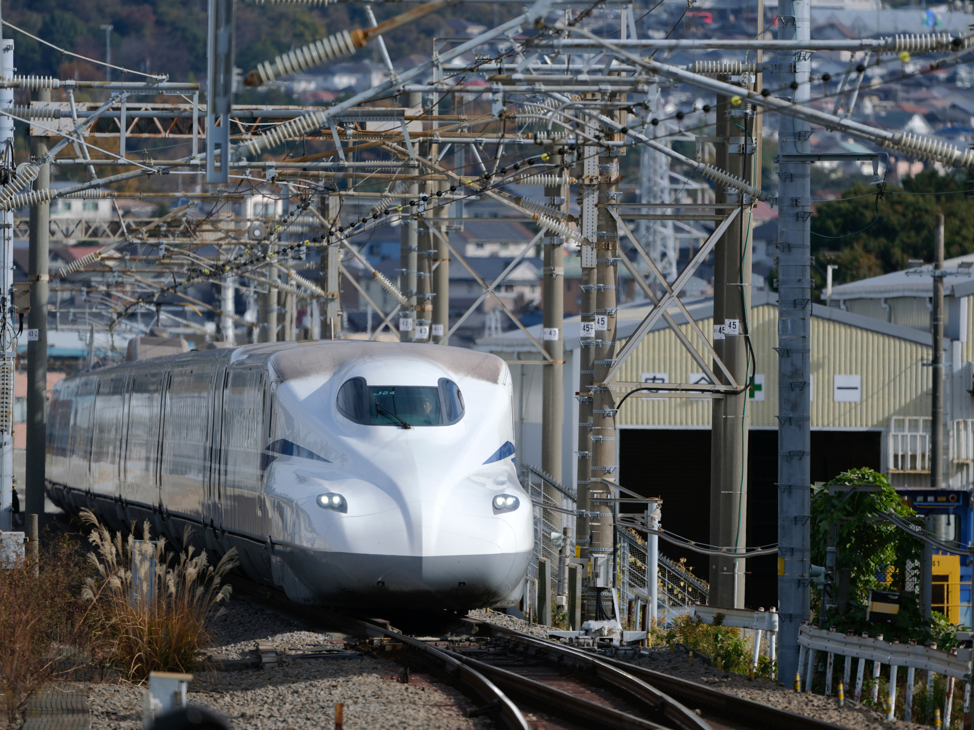 GFX100S II／GF500mmF5.6 R LM OIS WR／500mm（396mm相当）／マニュアル露出（1/3,200秒、F5.6）／ISO 400