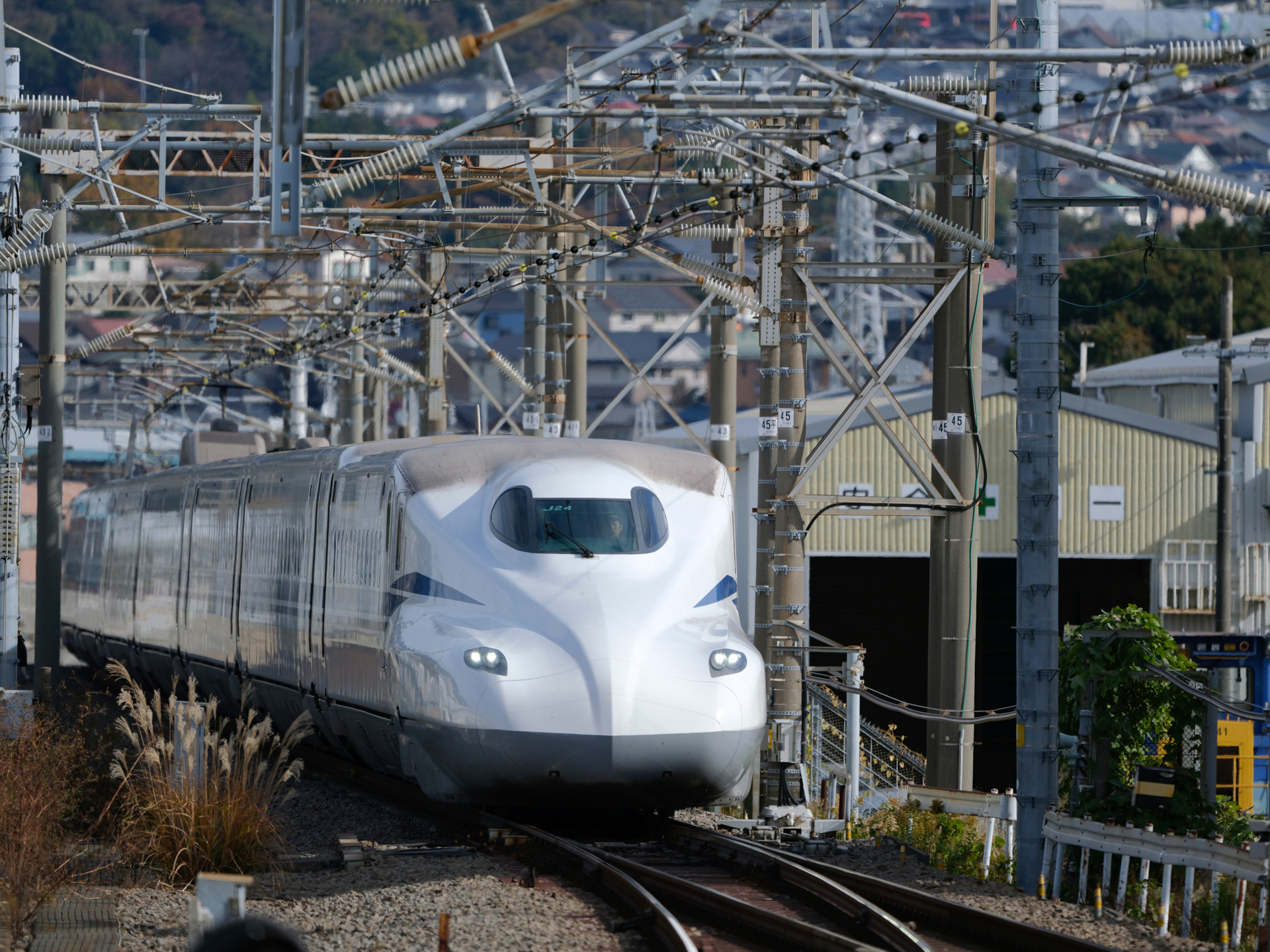 GFX100S II／GF500mmF5.6 R LM OIS WR／500mm（396mm相当）／マニュアル露出（1/3,200秒、F5.6）／ISO 400