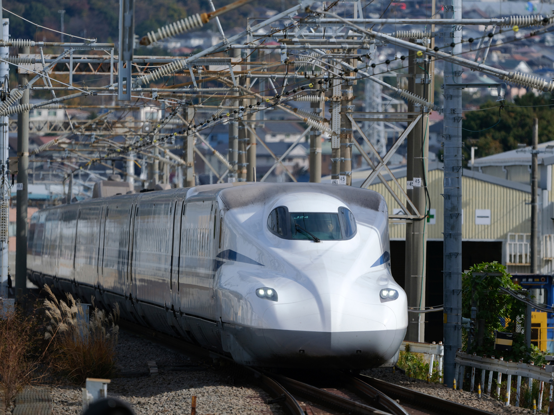 GFX100S II／GF500mmF5.6 R LM OIS WR／500mm（396mm相当）／マニュアル露出（1/3,200秒、F5.6）／ISO 400