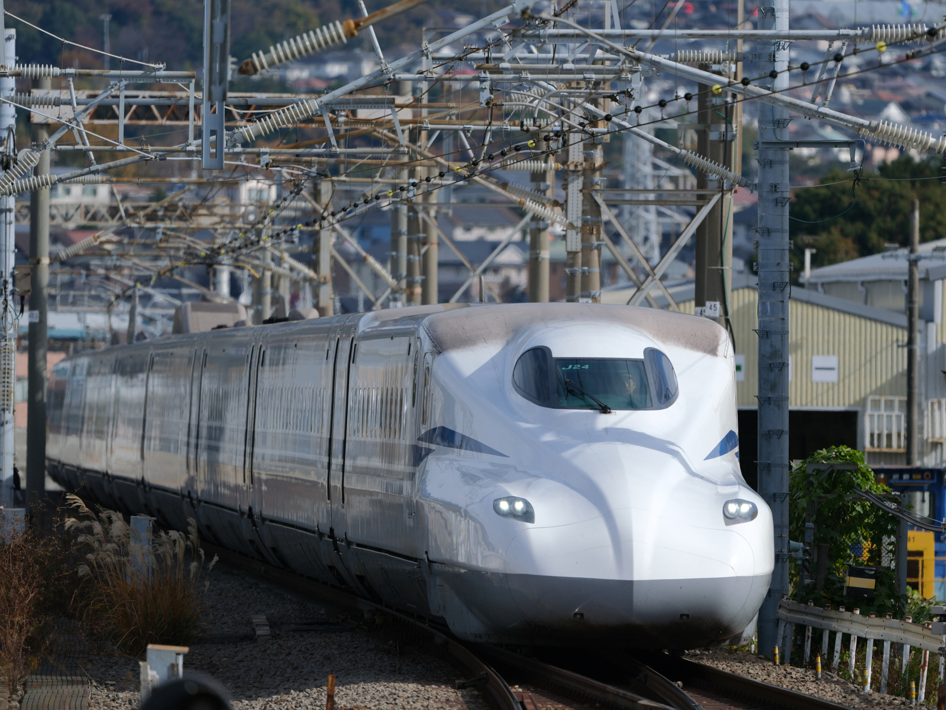 GFX100S II／GF500mmF5.6 R LM OIS WR／500mm（396mm相当）／マニュアル露出（1/3,200秒、F5.6）／ISO 400