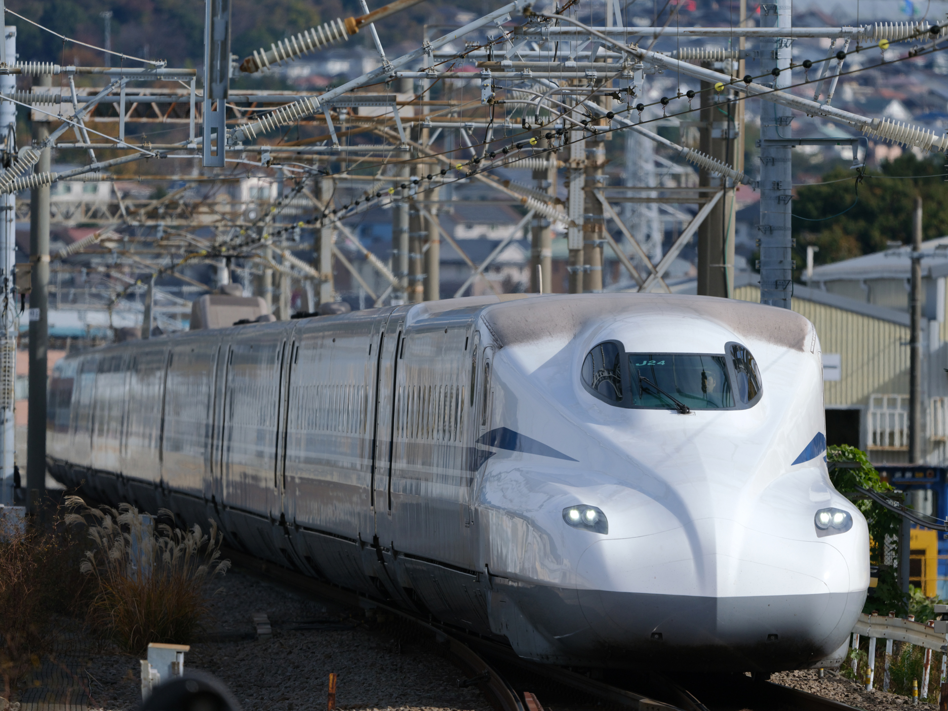 GFX100S II／GF500mmF5.6 R LM OIS WR／500mm（396mm相当）／マニュアル露出（1/3,200秒、F5.6）／ISO 400