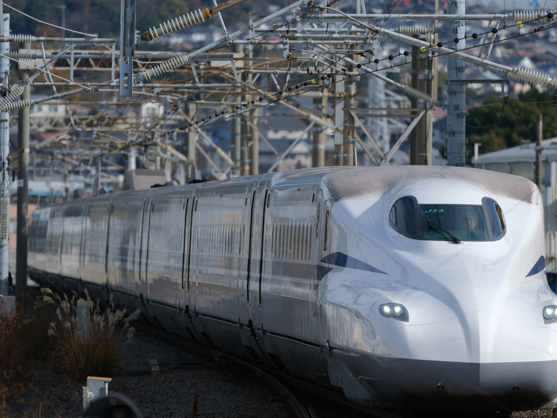 GFX100S II／GF500mmF5.6 R LM OIS WR／500mm（396mm相当）／マニュアル露出（1/3,200秒、F5.6）／ISO 400