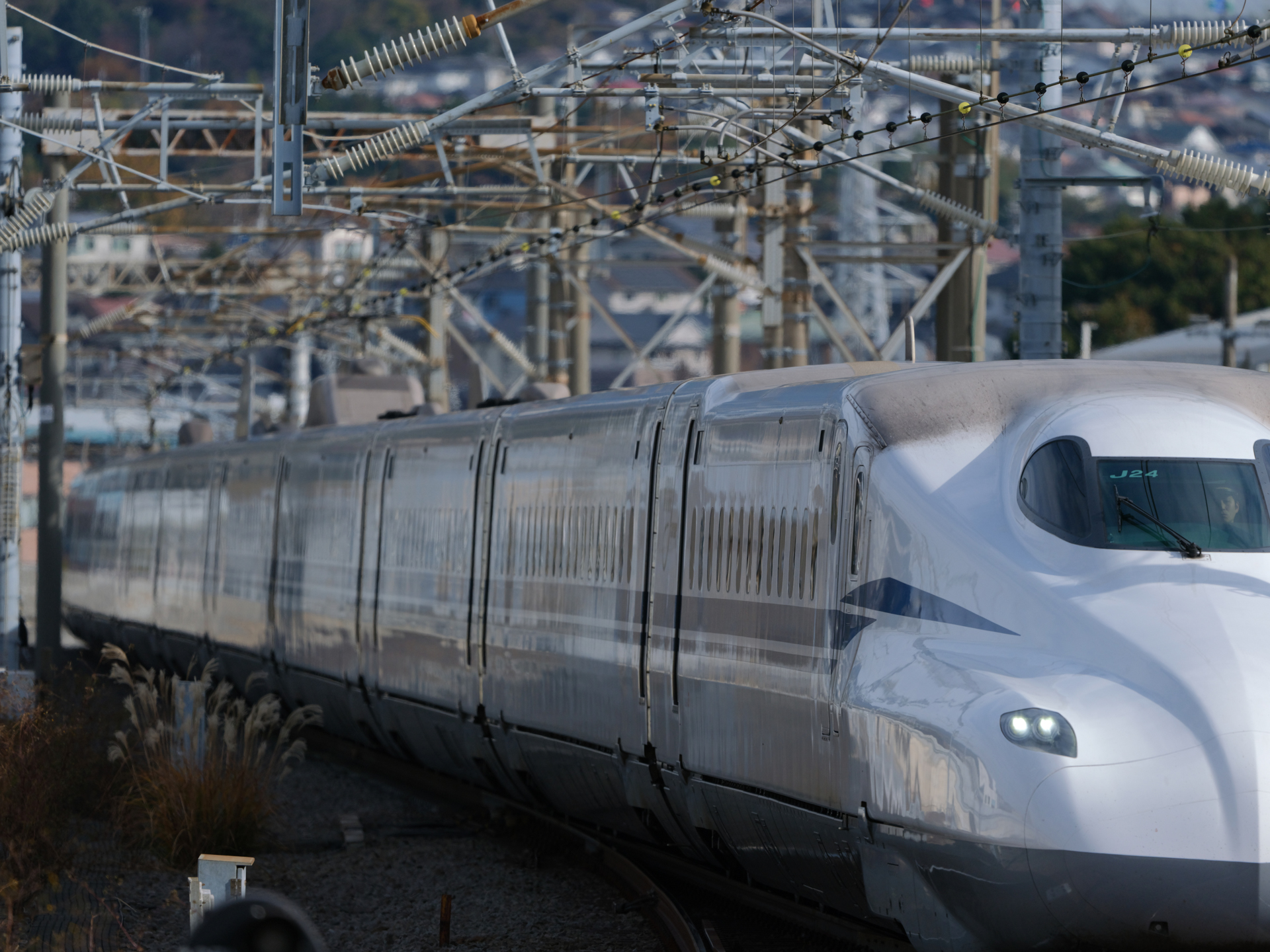 GFX100S II／GF500mmF5.6 R LM OIS WR／500mm（396mm相当）／マニュアル露出（1/3,200秒、F5.6）／ISO 400