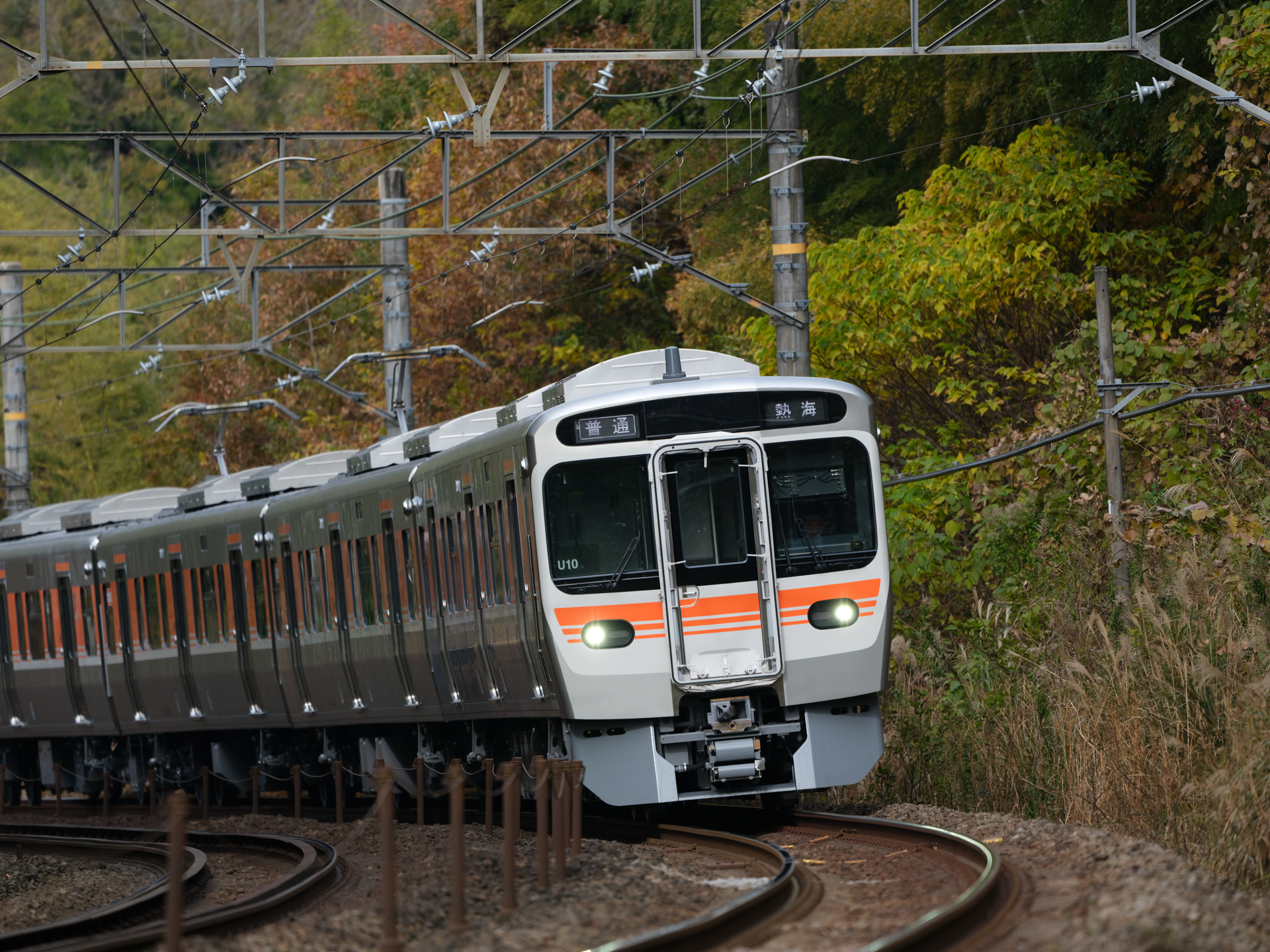 GFX100S II／GF500mmF5.6 R LM OIS WR／500mm（396mm相当）／マニュアル露出（1/640秒、F5.6）／ISO 500