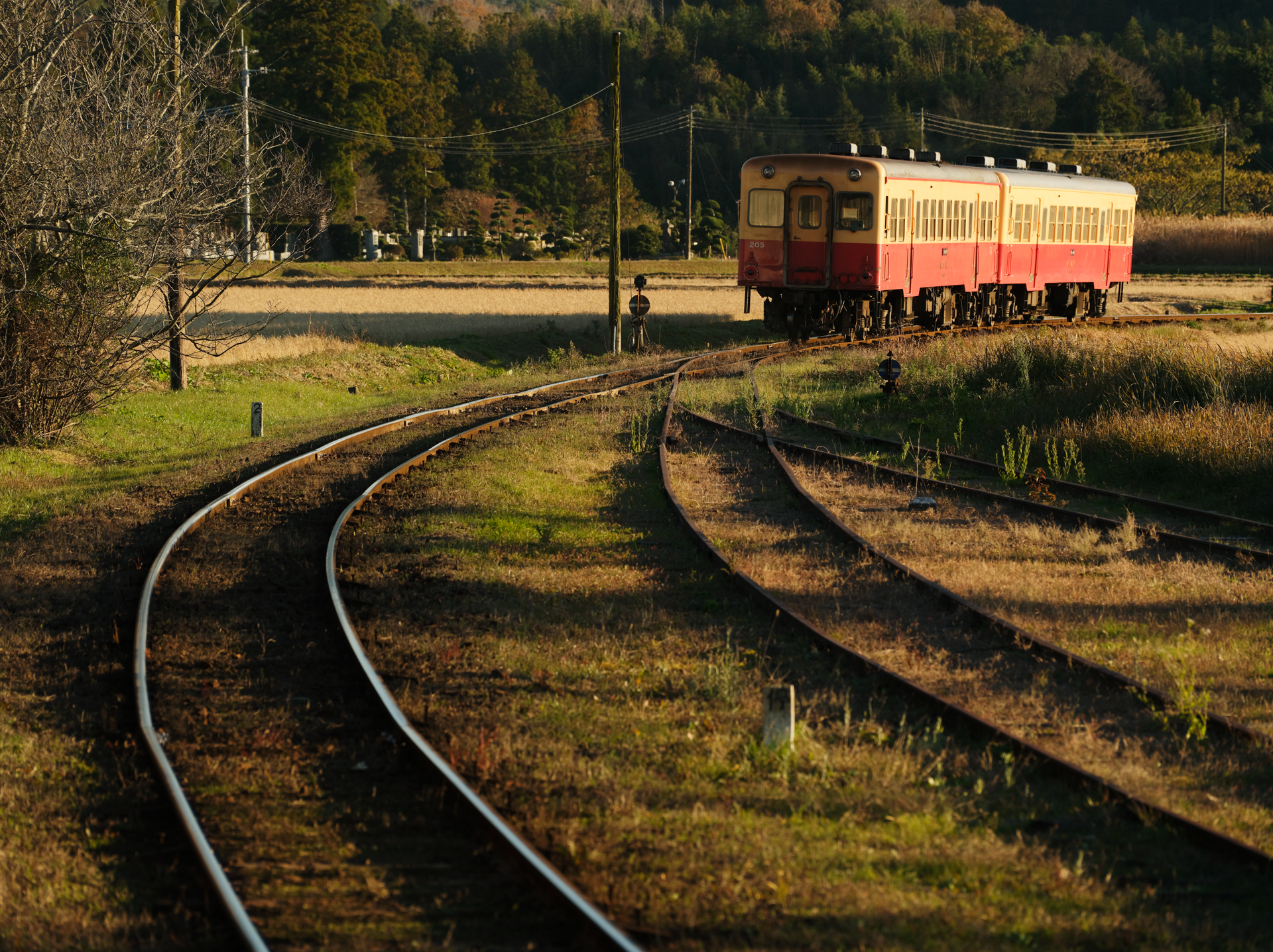 GFX100S II／GF100-200mmF5.6 R LM OIS WR／200mm（158mm相当）／マニュアル露出（1/500秒、F8.0）／ISO 400