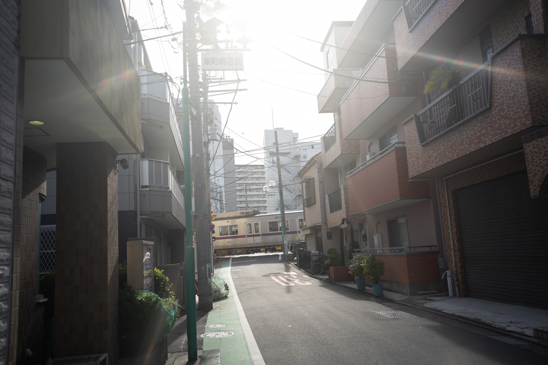 あえて逆光で撮った1枚。柔らかい中にもピントの芯はしっかりある。光条も面白い<br>ソニーα7 III／Viltrox AF 28mm F4.5／マニュアル露出（F4.5、1/400秒）／ISO 100