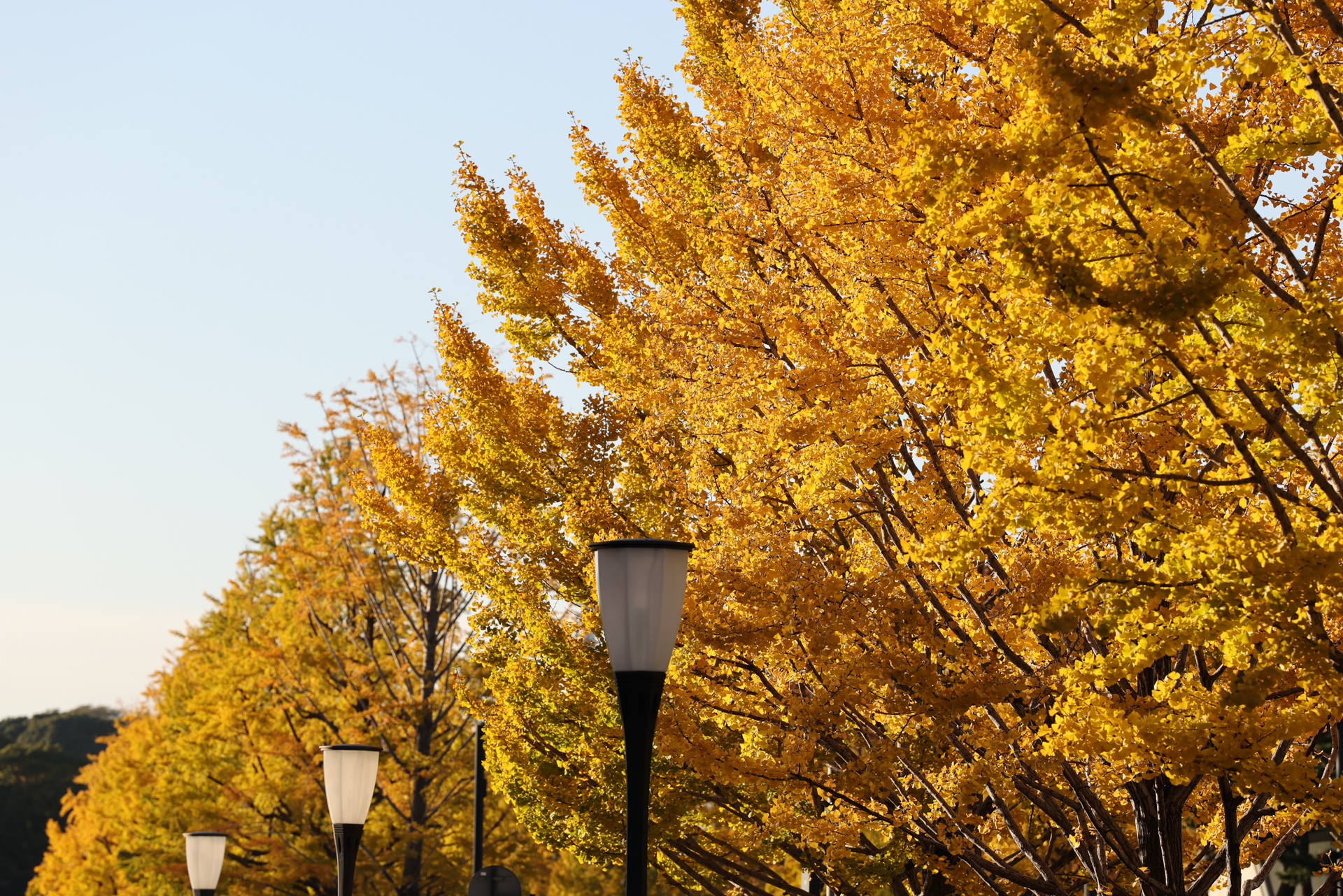 EOS R5 Mark II／RF70-200mm F2.8 L IS USM Z／168mm／絞り優先AE（1/320秒、F5.6、＋0.7EV）／ISO 100