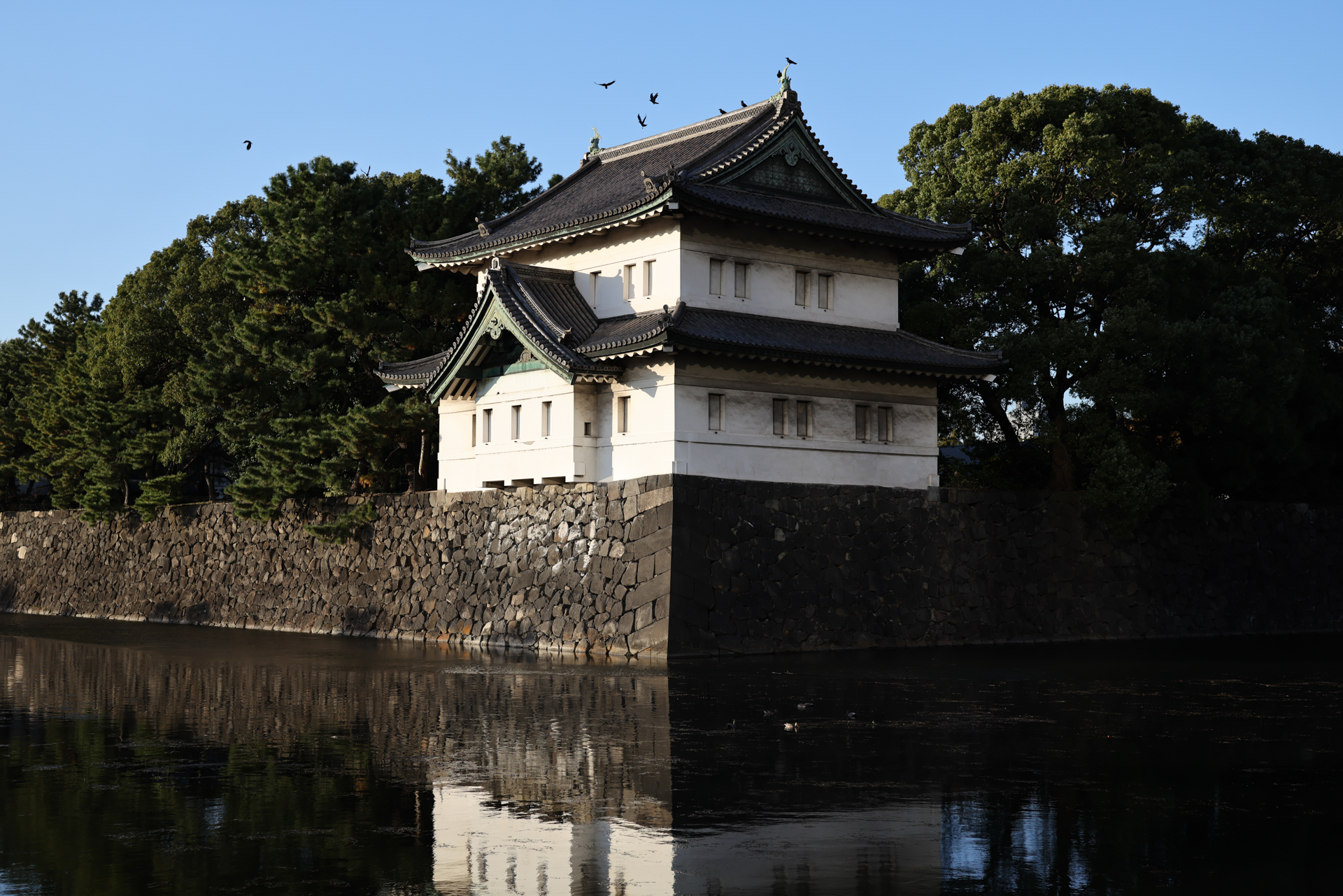 キヤノン EOS R5 Mark II／RF50mm F1.4 L VCM／50mm／絞り優先AE（1/1,250秒、F2.8、±0.0EV）／ISO 100