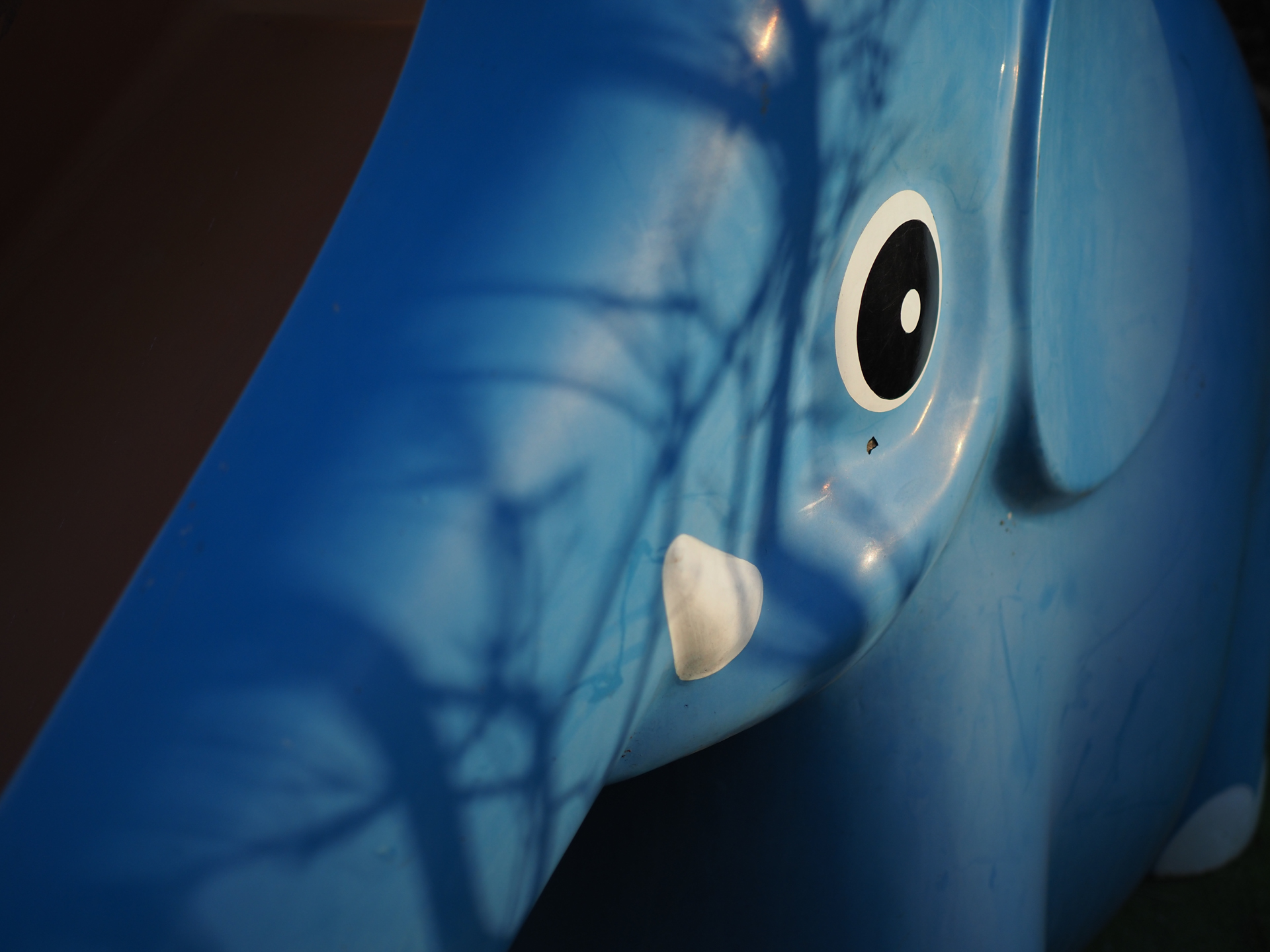 OM SYSTEM OM-5／M.ZUIKO DIGITAL 25mm F1.8／25mm（50mm相当）／絞り優先AE（1/4,000秒、F1.8、−0.3EV）／ISO 200