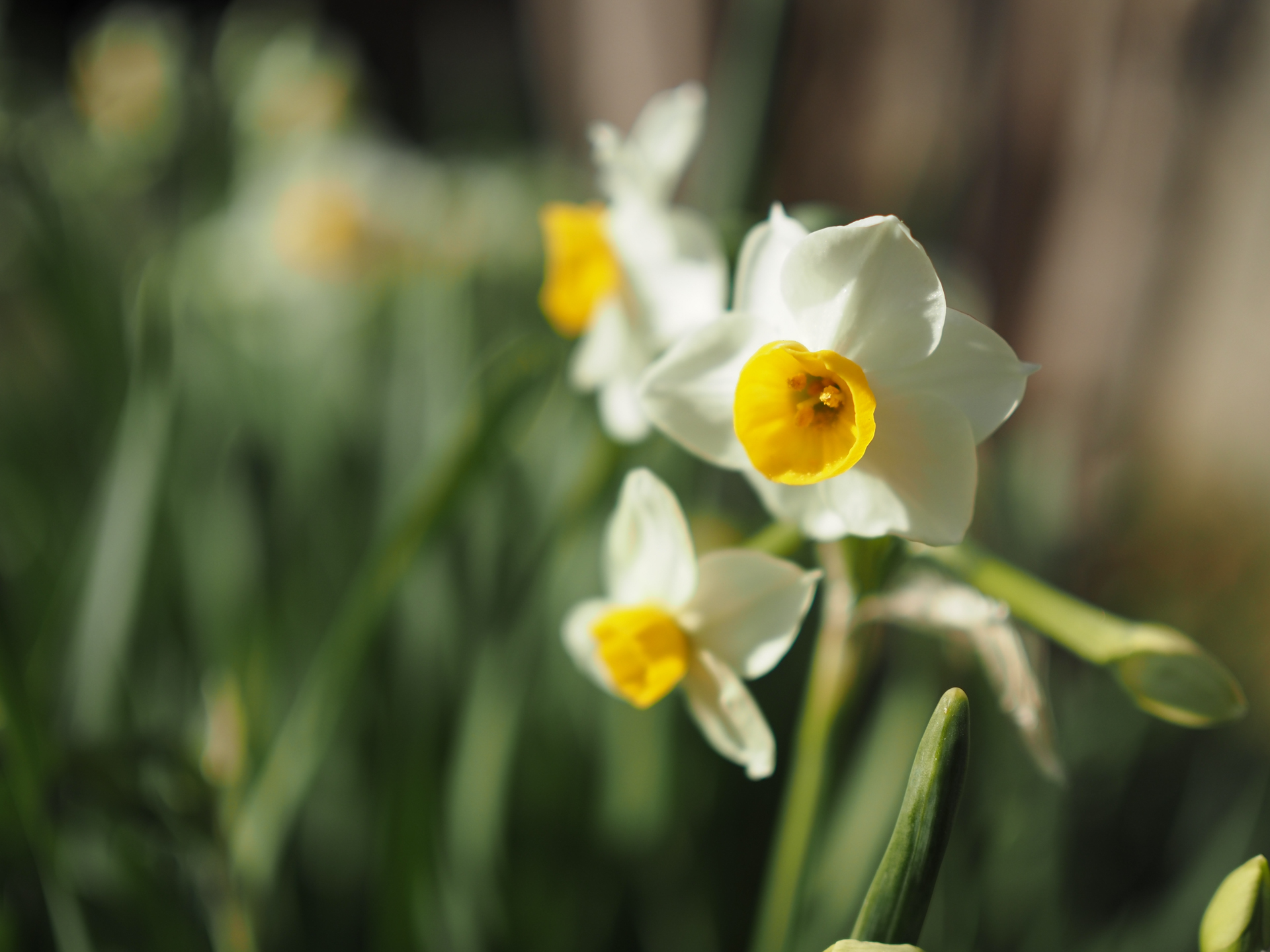 OM SYSTEM OM-5／M.ZUIKO DIGITAL 25mm F1.8／25mm（50mm相当）／絞り優先AE（1/6,400秒、F1.8、±0.0EV）／ISO 200