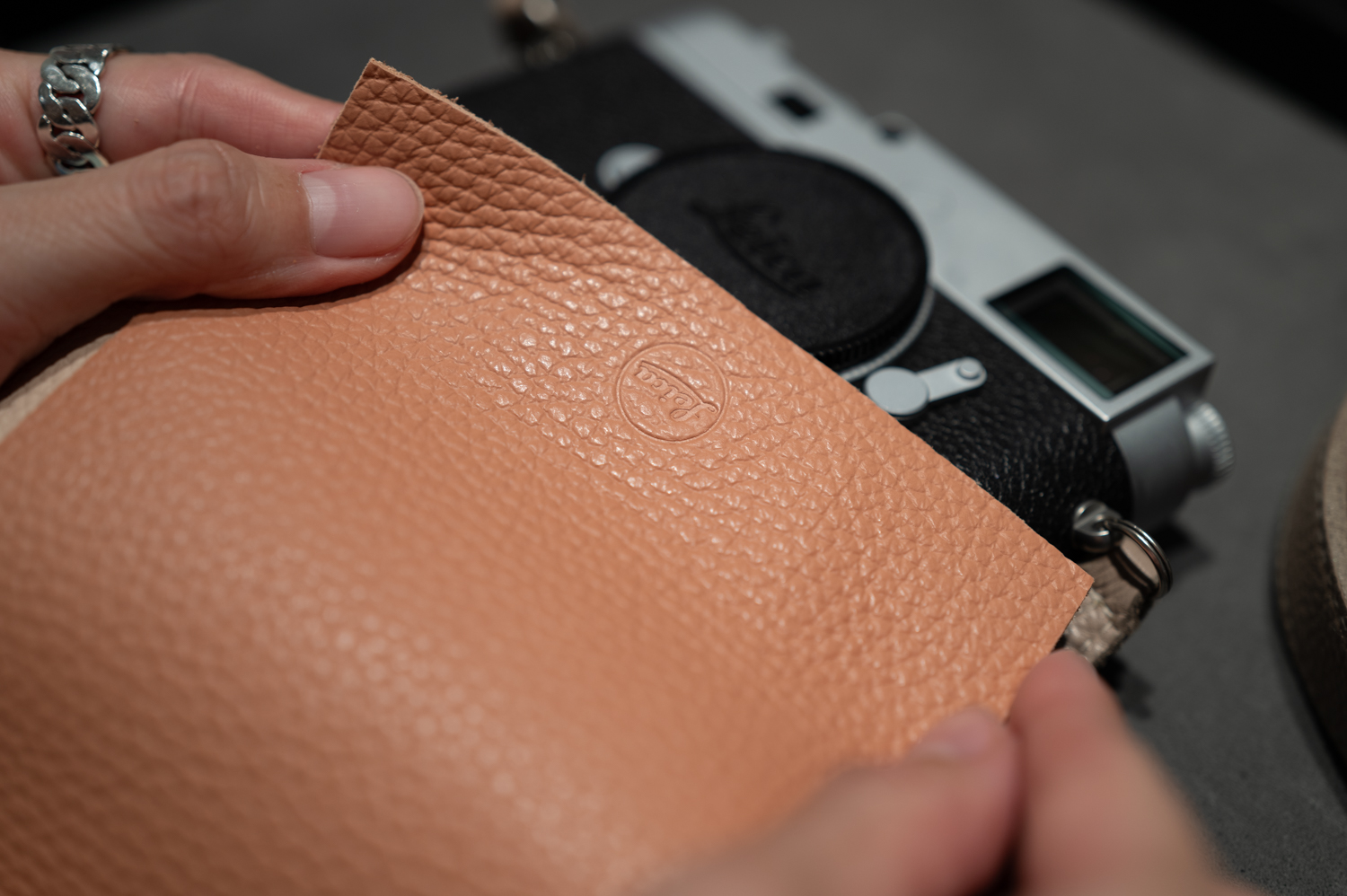 「サーモン」も捨てがたい