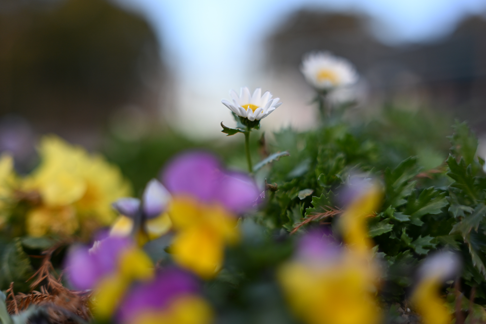 ニコン Z6 III／NIKKOR Z 50mm f/1.4／50mm／絞り優先AE（1/4,000秒、F1.4、±0.0EV）／ISO 400