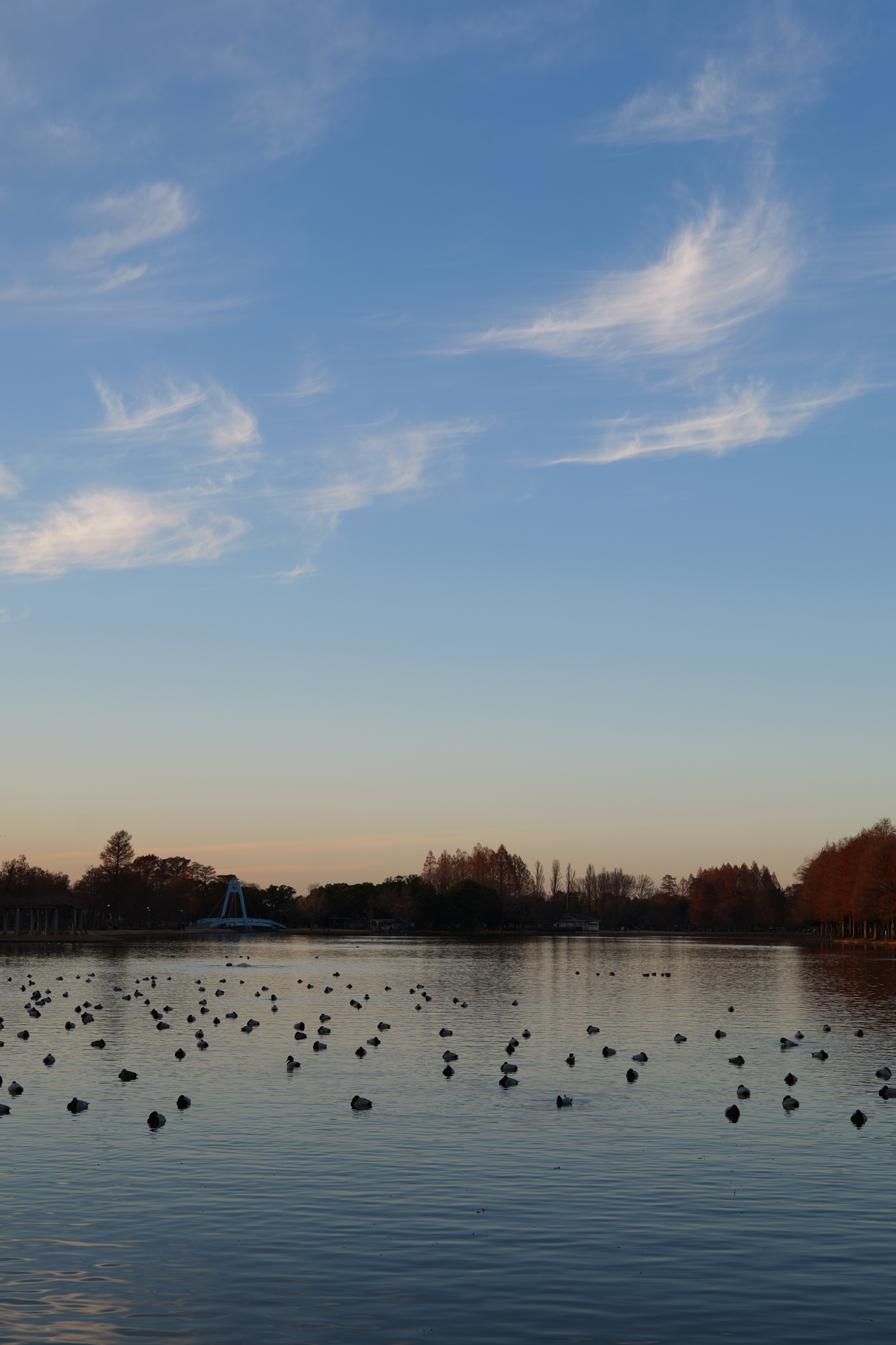 パナソニック LUMIX S9／LUMIX S 50mm F1.8／50mm／絞り優先AE（1/50秒、F8.0、＋0.3EV）／ISO 100