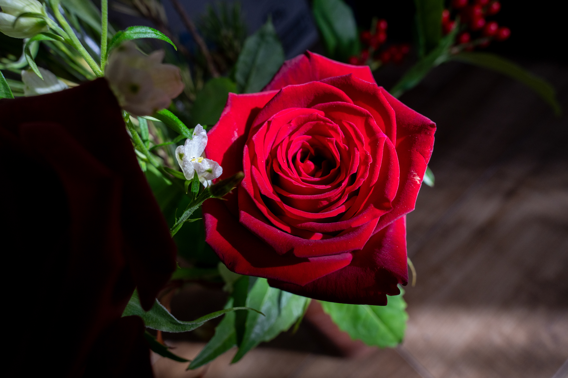 パースペクティブを抑制するにはどの位置からということ探って撮影することが多いのですが、至近距離では超広角であることがわからなくなりますね。<br><span class="fnt-85">ソニー α7C／20mm F/2.8 Di III OSD M1:2／20mm／絞り優先AE（1/80秒、F8.0、−0.7EV）／ISO 800</span>