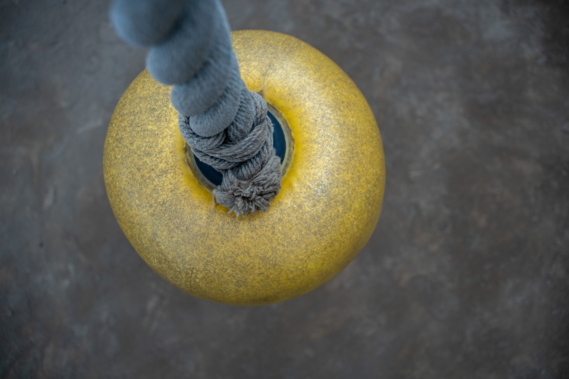 ご挨拶くらいによく撮影している公園の遊具ですが、真俯瞰で撮影してみました。新鮮ですけど四隅の画質は落ちますね。別にいいけどね。<br><span class="fnt-85">ソニー α7C／SIGMA SUPERWIDE II 24mm F2.8 MACRO／24mm／プログラムAE（1/320秒、F5.6、−0.3EV）／ISO 400</span>