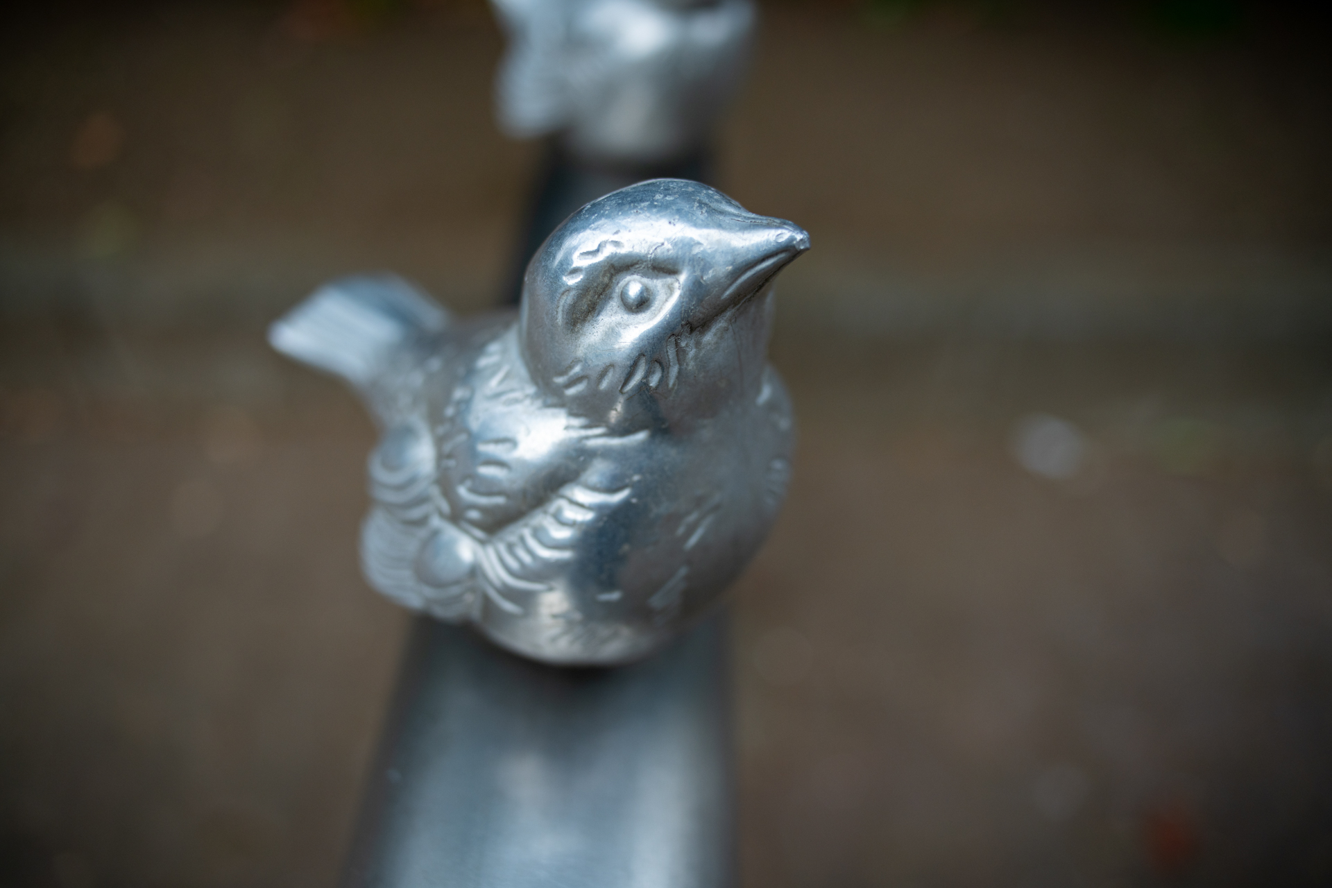 公園の車止めの上のスズメです。思い切り寄って撮影してみました。質感描写も申し分ないでしょう。<br><span class="fnt-85">ソニー α7C／SIGMA SUPERWIDE II 24mm F2.8 MACRO／24mm／プログラムAE（1/320秒、F4.0、−0.3EV）／ISO 400</span>