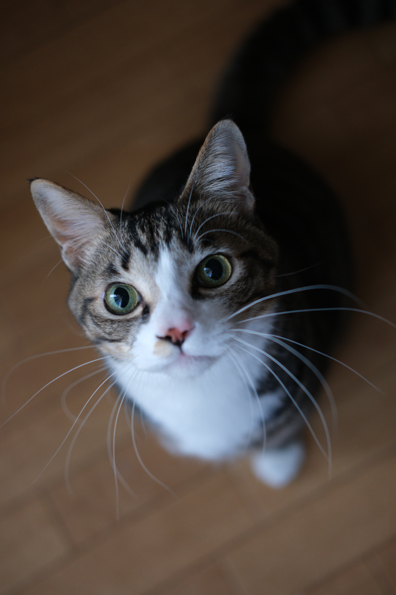 富士フイルム X-T5／XF35mmF2 R WR／35mm（53mm相当）／絞り優先AE（1/400秒、F2.0、−0.3EV）／ISO 800