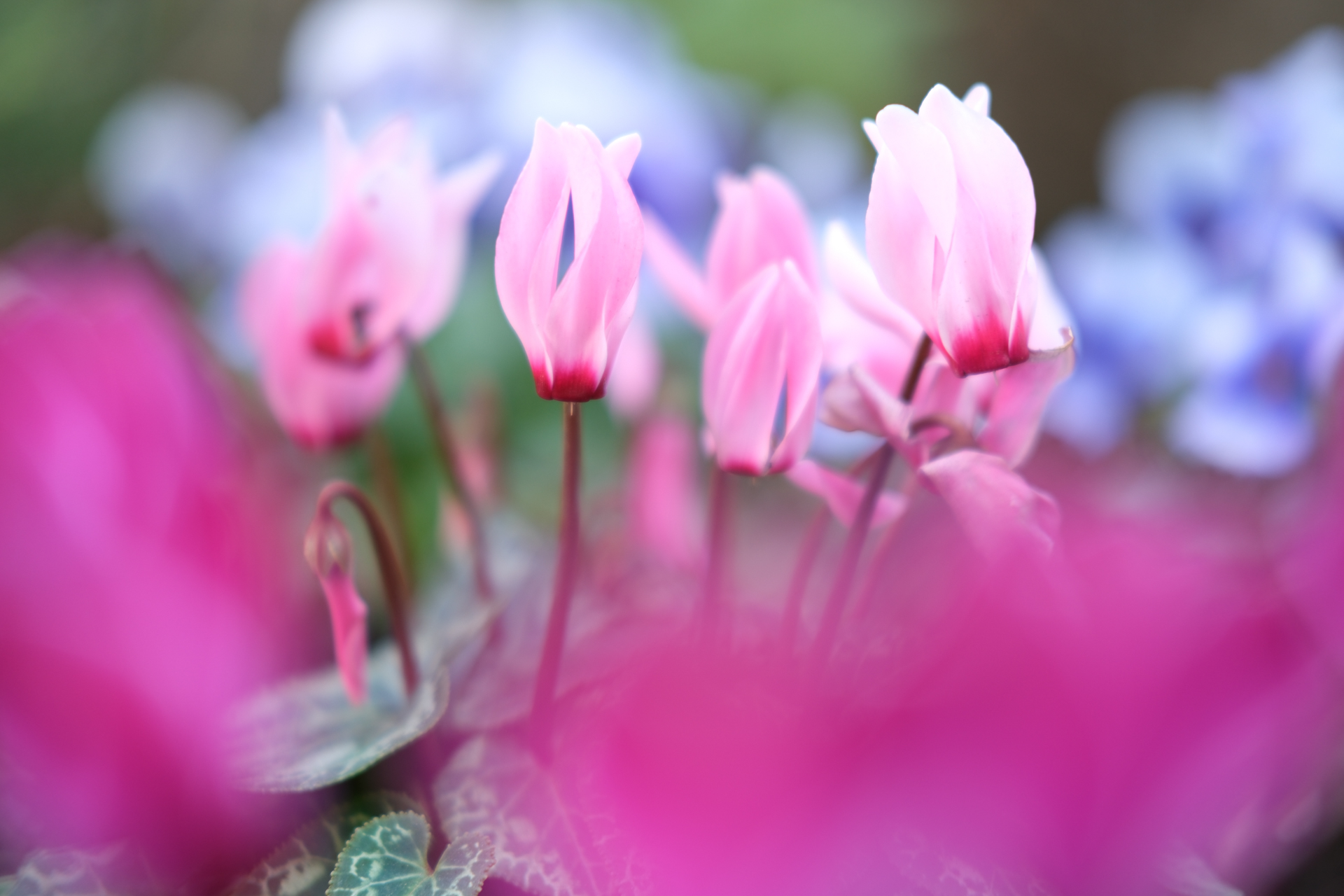 富士フイルム X-T5／XF35mmF2 R WR／35mm（53mm相当）／絞り優先AE（1/50秒、F2.0、＋0.7EV）／ISO 125