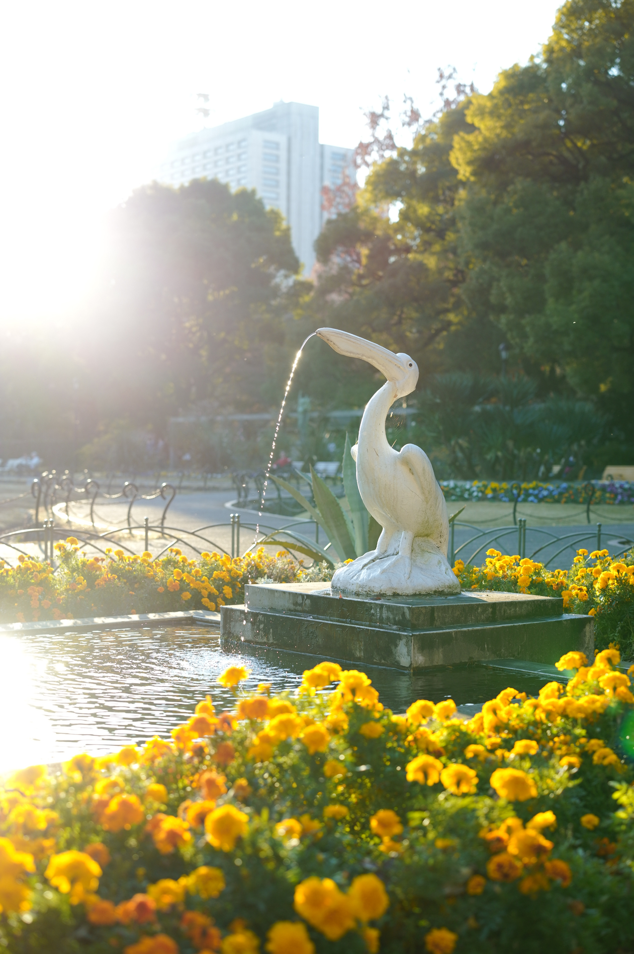 SIGMA fp L／SIGMA 50mm F2 DG DN｜Contemporary／50mm／絞り優先AE（1/1,000秒、F2.8、−0.3EV）／ISO 400