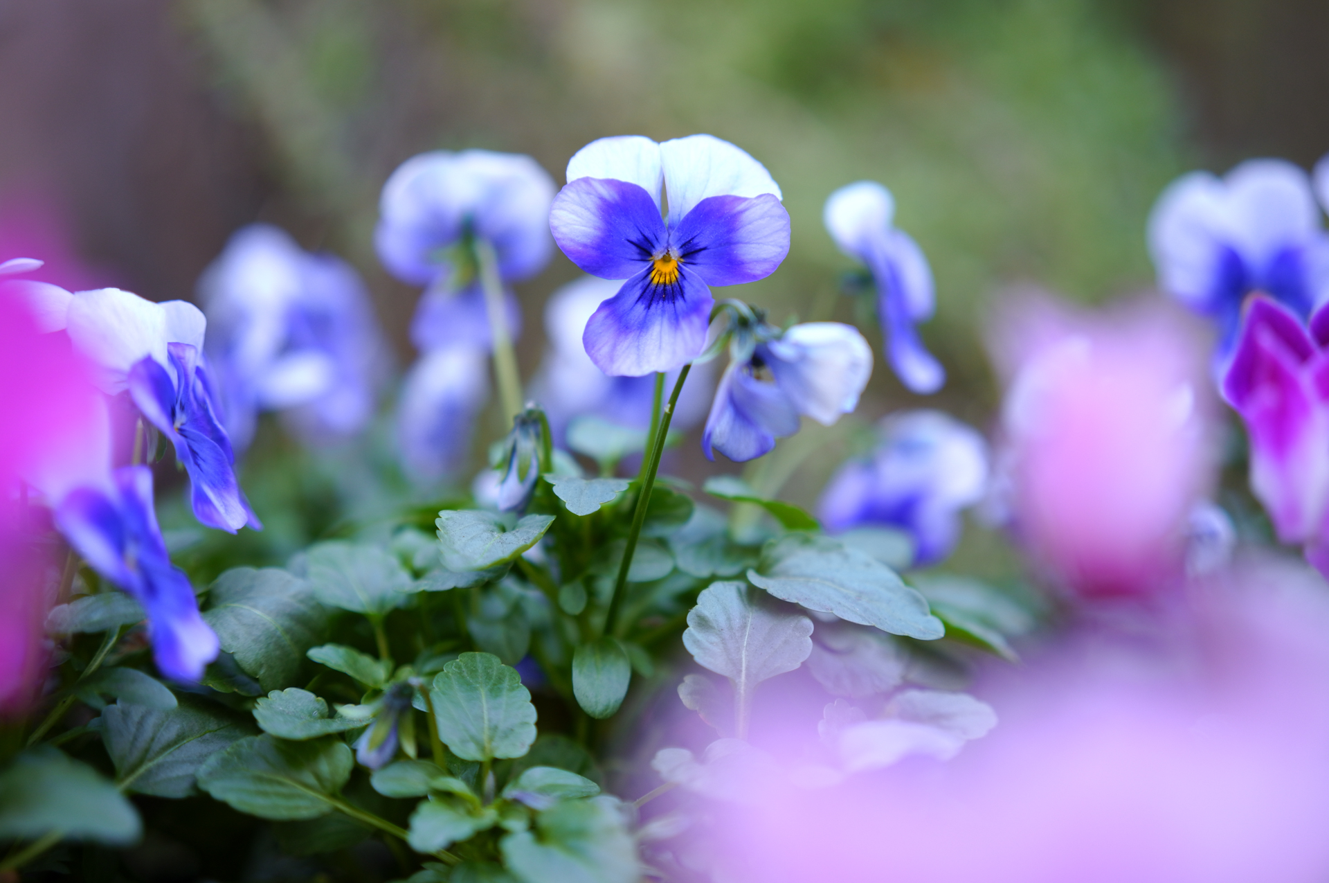 SIGMA fp L／SIGMA 50mm F2 DG DN｜Contemporary／50mm／絞り優先AE（1/200秒、F2.0、＋0.7EV）／ISO 400