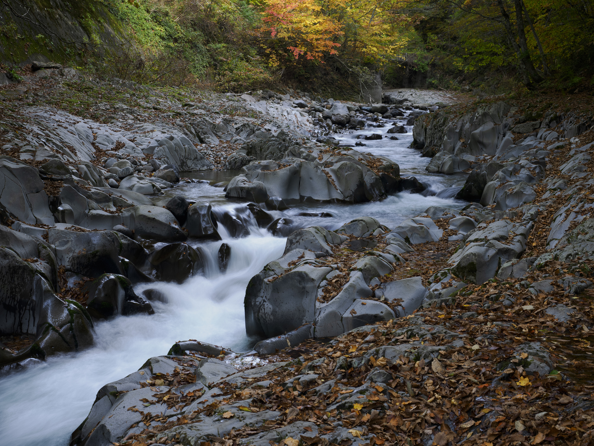 特徴的な岩が連なる渓⾕は葉が落ちてすでに晩秋の装いだった。⽔の流れを滑らかに表現するために三脚を使ってスローシャッターで表現した<br><span class="fnt-85">OMDS OM SYSTEM OM-1 Mark II／M.ZUIKO DIGITAL ED 12-40mm F2.8 PRO II／27mm（54mm相当）／マニュアル露出（F5.6、1/2秒）／ISO 400／WB：晴天</span>