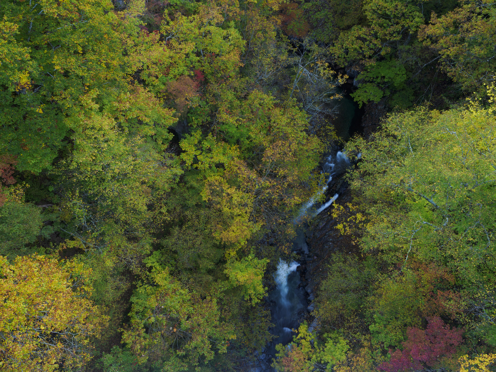 橋の上から俯瞰して秋の彩りの渓⾕美を表現した。橋の欄⼲の⾼さまで脚を伸ばして、背⾯モニターを確認しながらシャッターを切った<br><span class="fnt-85">OMDS OM SYSTEM OM-1 Mark II／M.ZUIKO DIGITAL ED 12-40mm F2.8 PRO II／12mm（24mm相当）／マニュアル露出（F11、1/2秒）／ISO 200／WB：晴天</span>