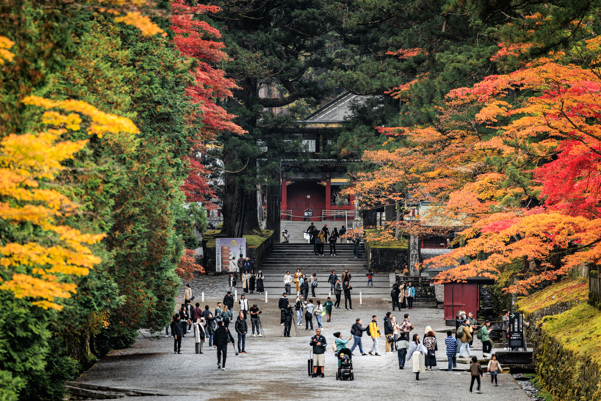 参道を彩る紅葉のグラデーションと、日光東照宮に参拝に訪ねてきた人々のにぎやかな様子をRF70-200mm F2.8 L IS USMの望遠端を使い、程よい圧縮感で切り取った<br><span class="fnt-85">キヤノン EOS R5 Mark II／RF70-200mm F2.8 L IS USM／200mm／絞り優先AE（F2.8、1/15秒、±0EV）／ISO 400／WB：オート</span>