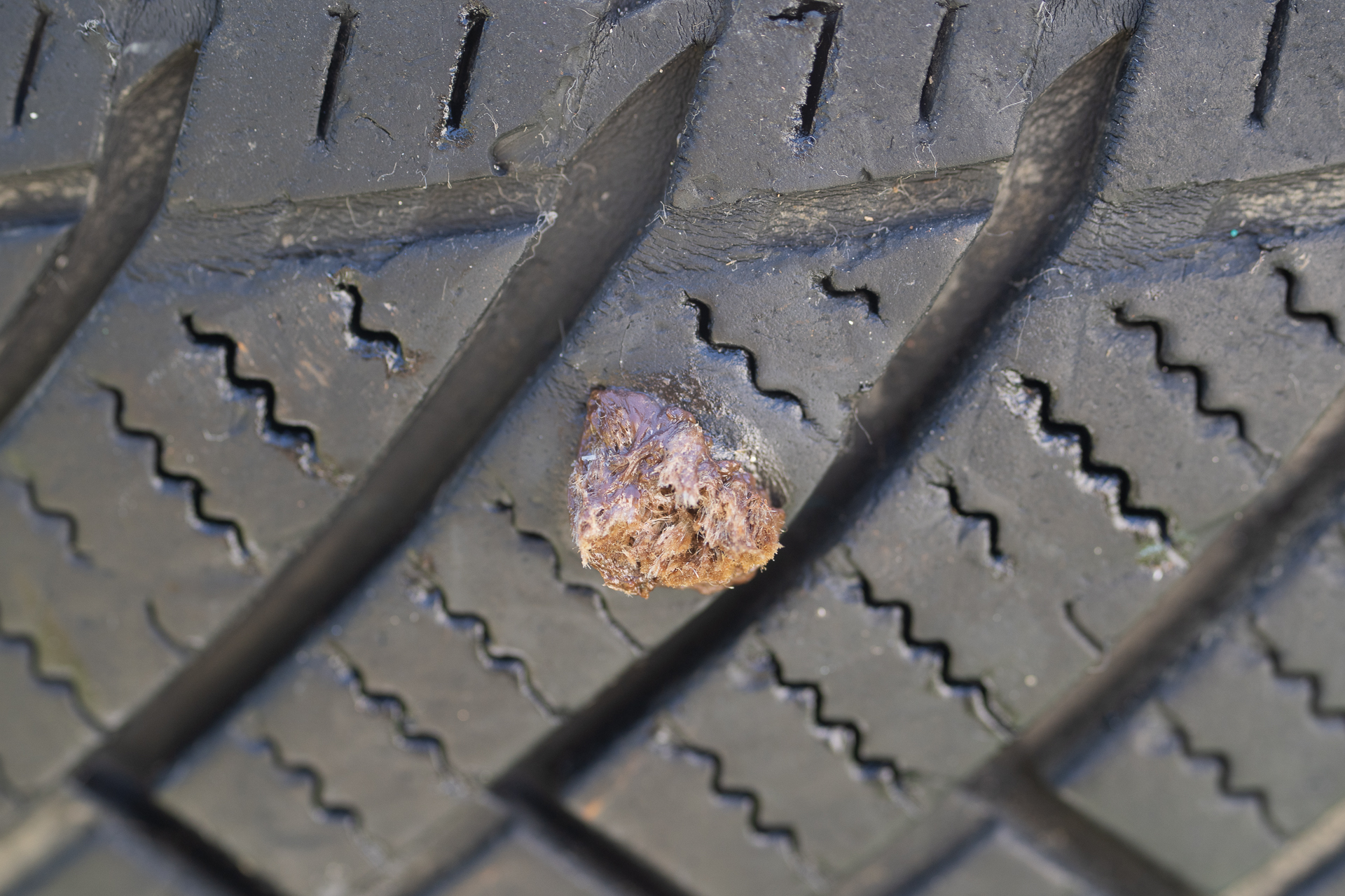 レガシータイプ