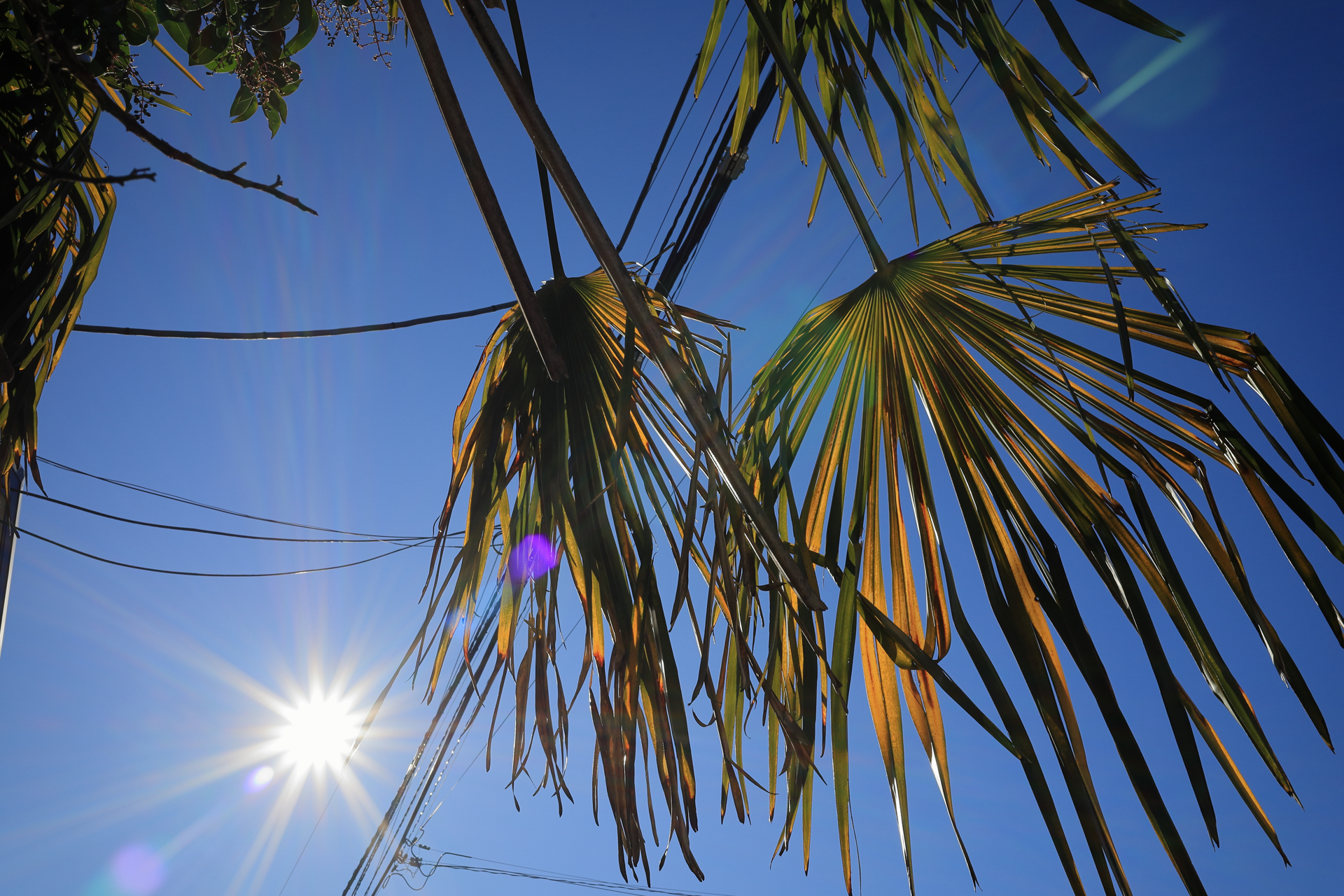 レンズを甘えさせちゃいけないということで太陽を入れてみました。ゴーストは出ますけど、これくらいなら問題はないですね。<br><span class="fnt-85">キヤノン EOS RP／RF28mm F2.8 STM／28mm／プログラムAE（1/80秒、F18、−0.3EV）／ISO 100</span>