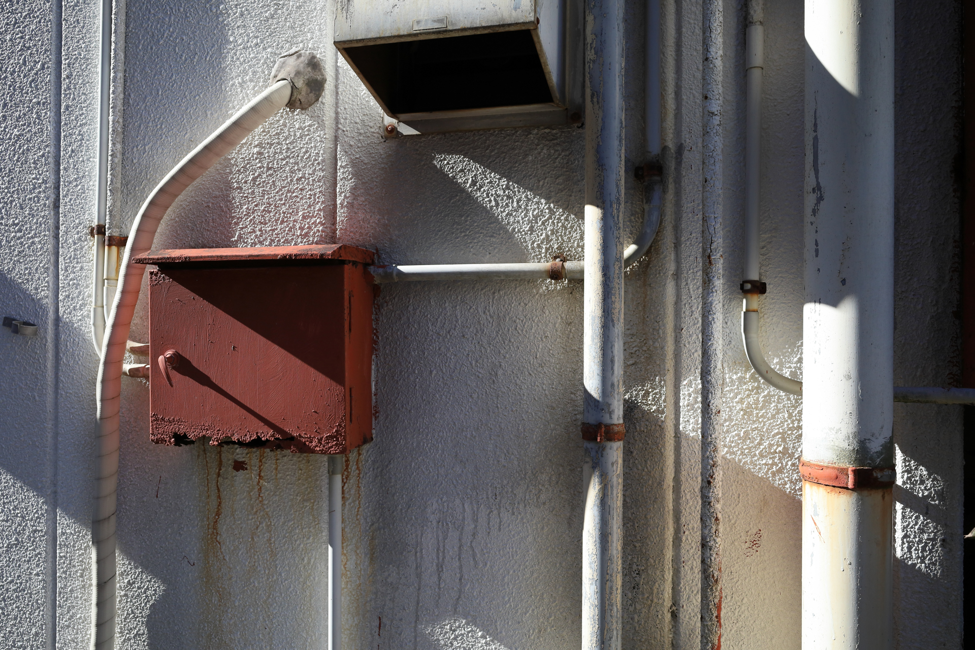 コントラストの高いレンズだから、こうした明暗差の大きな条件ではどうかということで試してみましたが、階調に破綻がありません。レンズ性能とカメラの性能がうまくバランスしているようです。<br><span class="fnt-85">キヤノン EOS RP／RF28mm F2.8 STM／28mm／プログラムAE（1/500秒、F8.0、±0.0EV）／ISO 400</span>