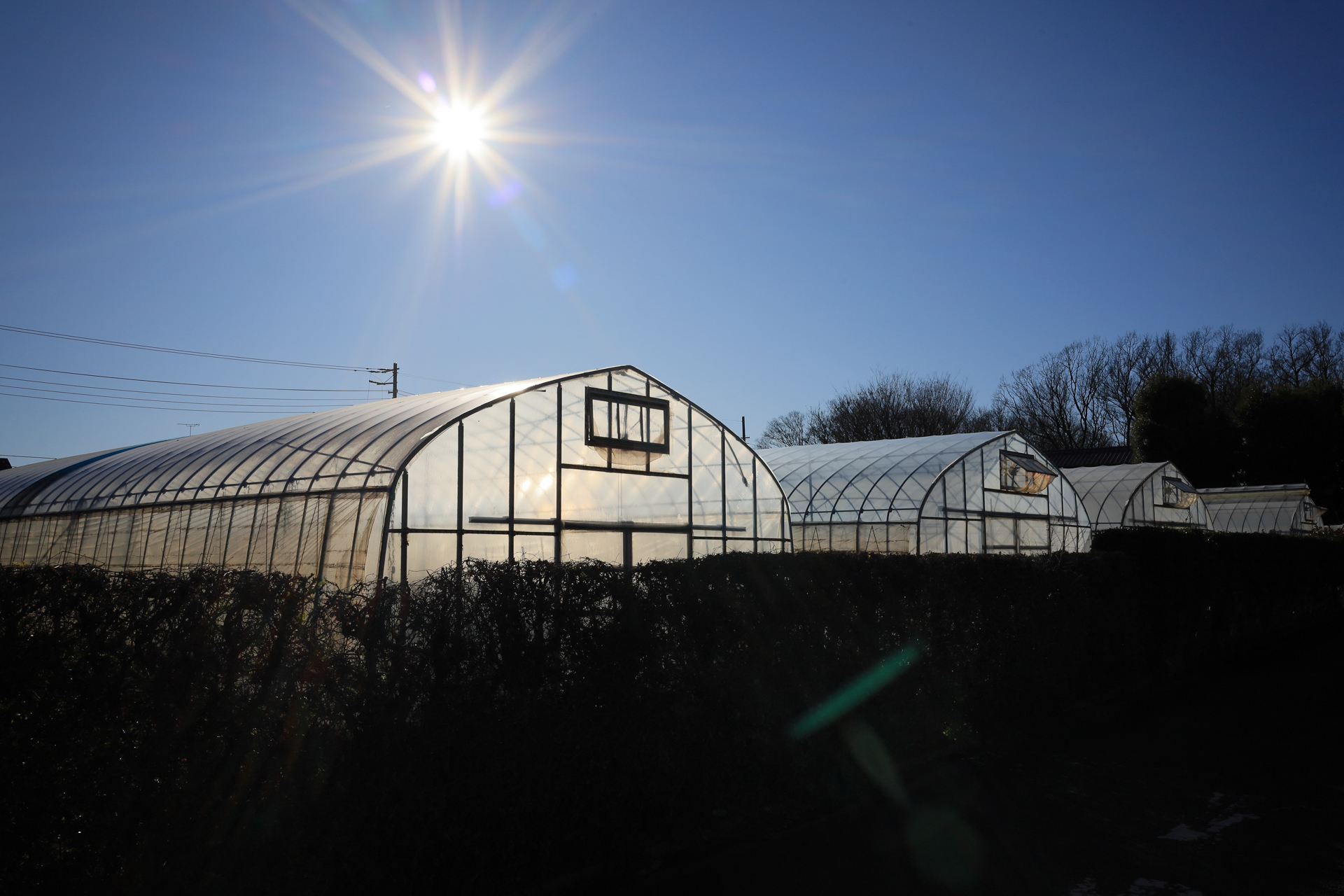 これも太陽を入れてみました。線状にみえるゴーストが出ますが、さほど違和感はありません。<br><span class="fnt-85">キヤノン EOS RP／RF28mm F2.8 STM／28mm／プログラムAE（1/320秒、F18、−0.7EV）／ISO 100</span>