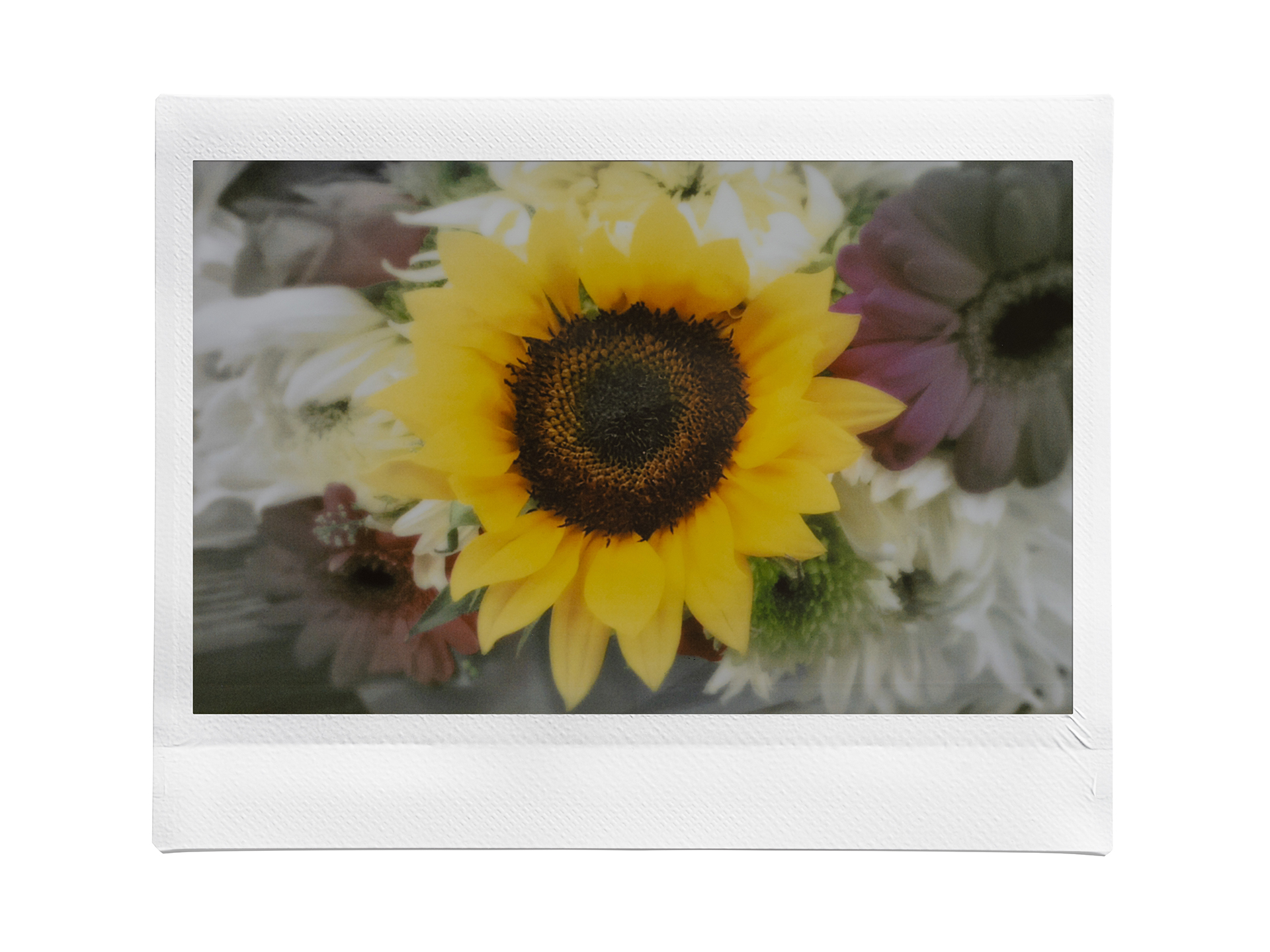 度合い調整（モノクロ周辺ボケ）