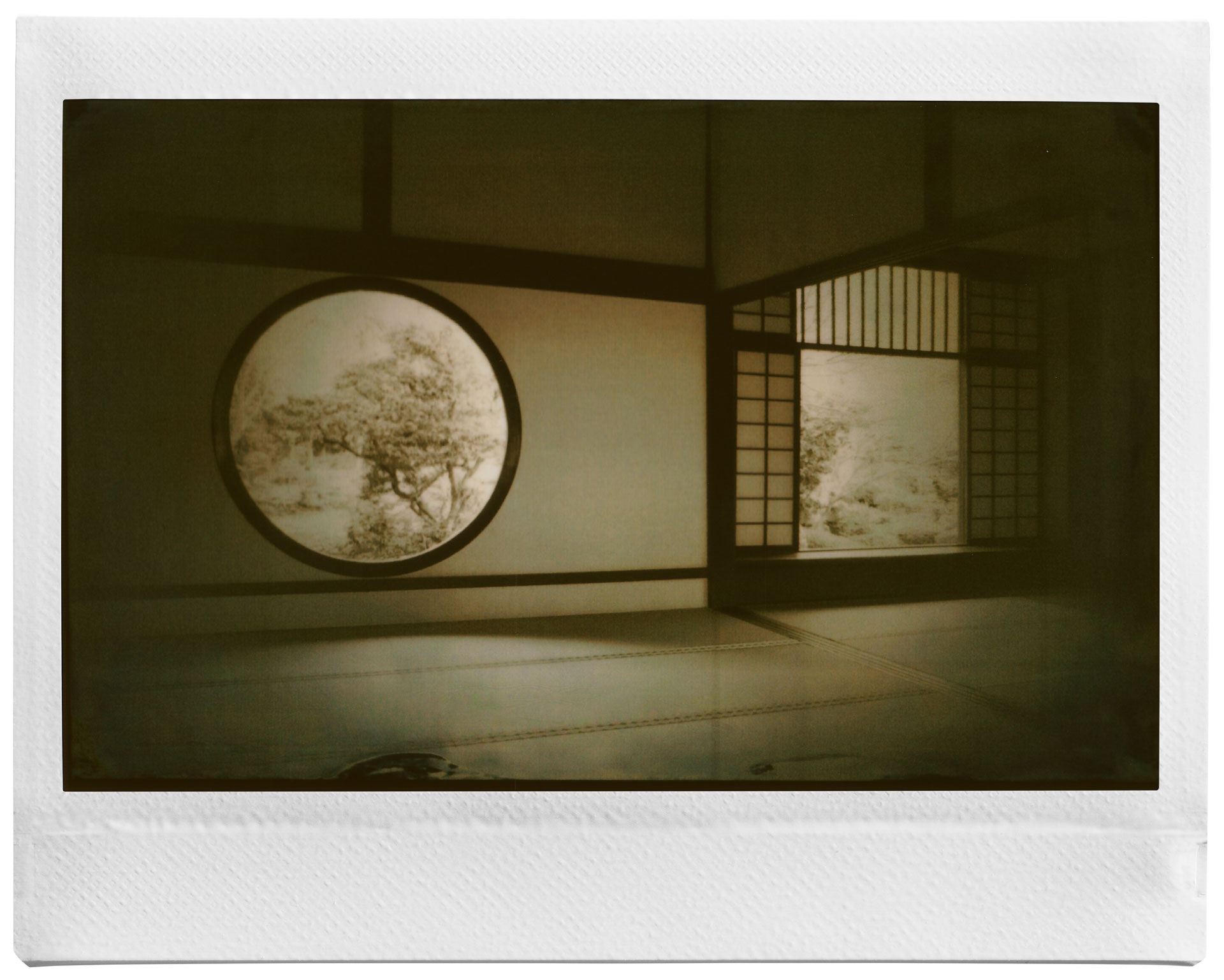 長山さんの作品