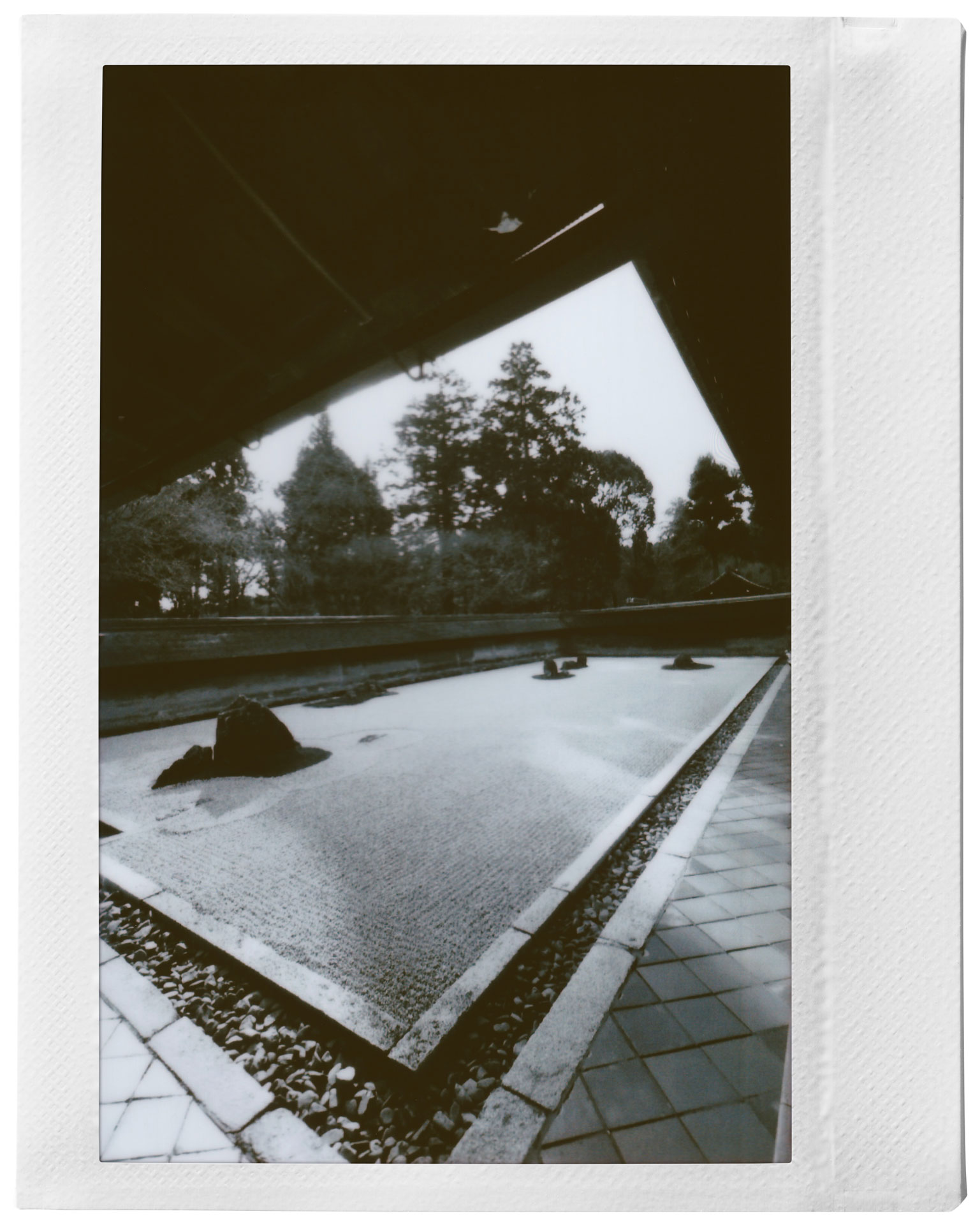 長山さんの作品