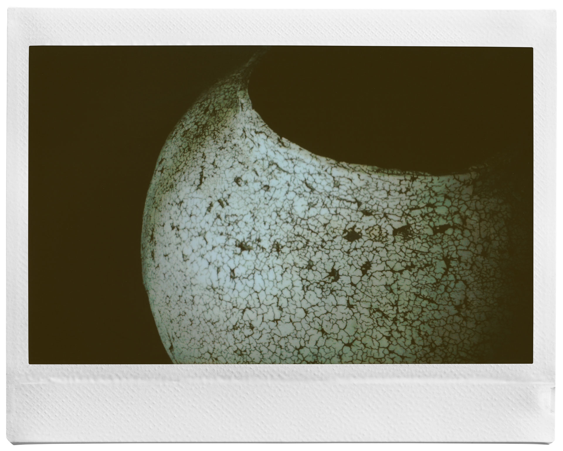 清水さんの作品