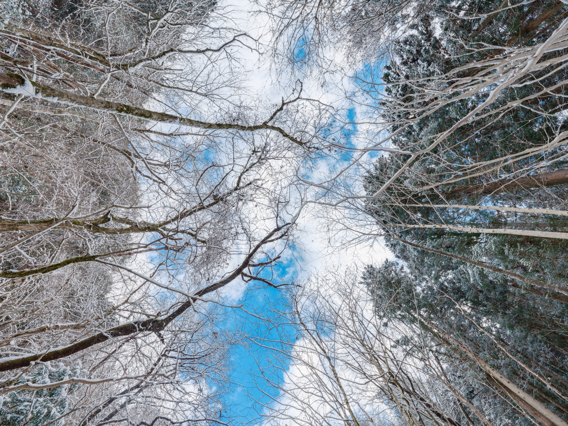 富士フイルム GFX100S II／GF20-35mmF4 R WR／20mm（16mm相当）／マニュアル露出（1/50秒、F11）／ISO 400