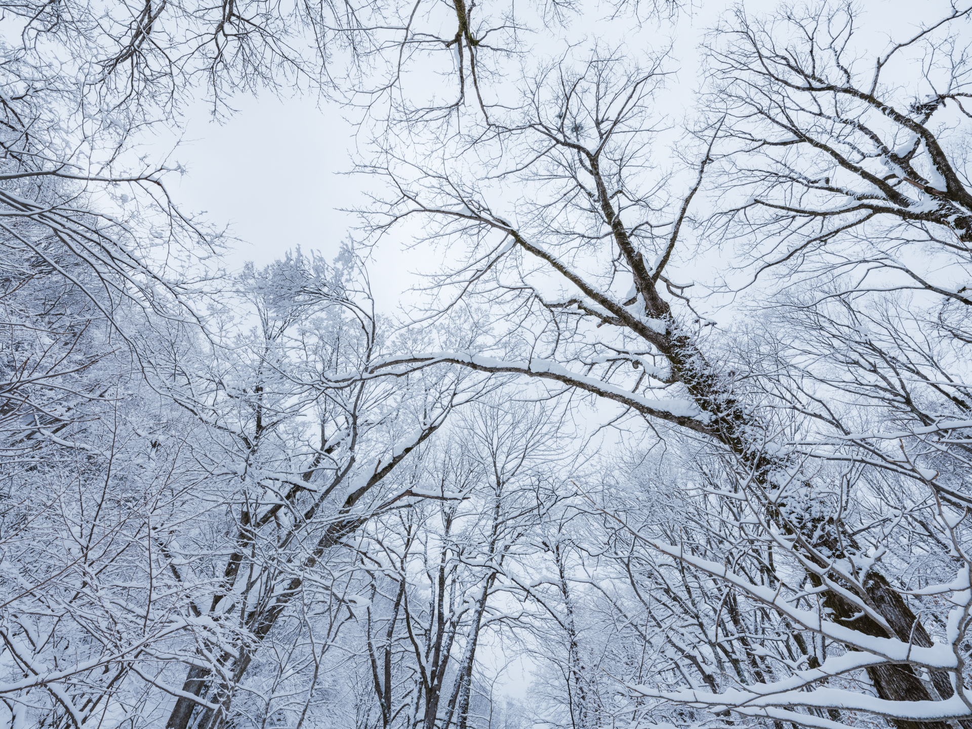 富士フイルム GFX100S II／GF20-35mmF4 R WR／20mm（16mm相当）／マニュアル露出（1/50秒、F16）／ISO 400