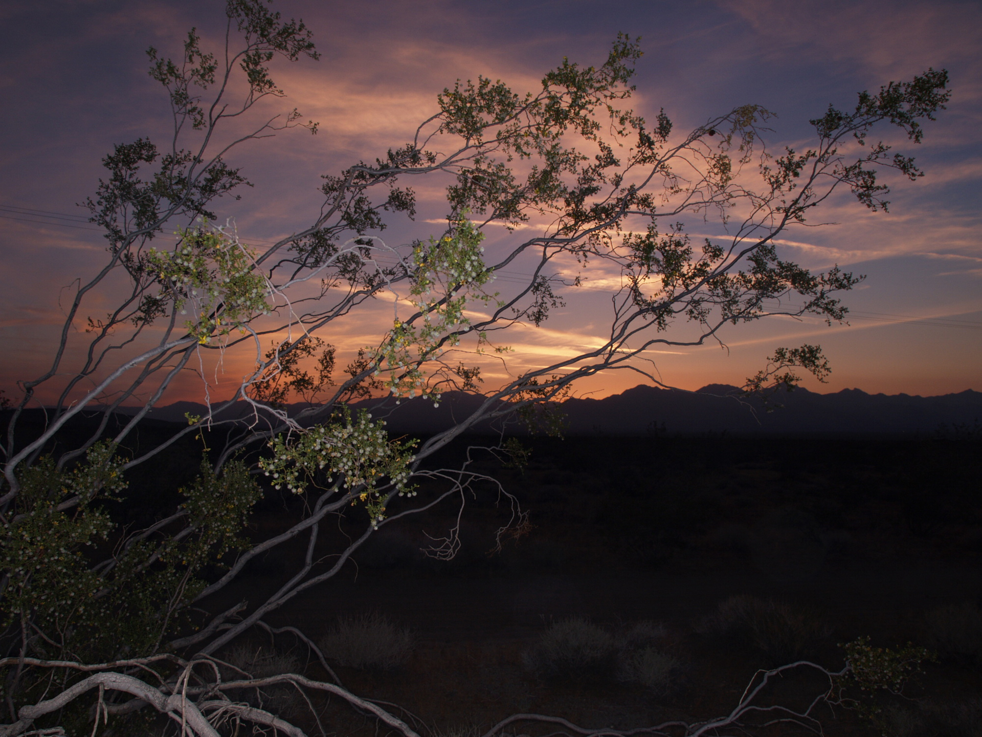 2004年 カルフォルニア