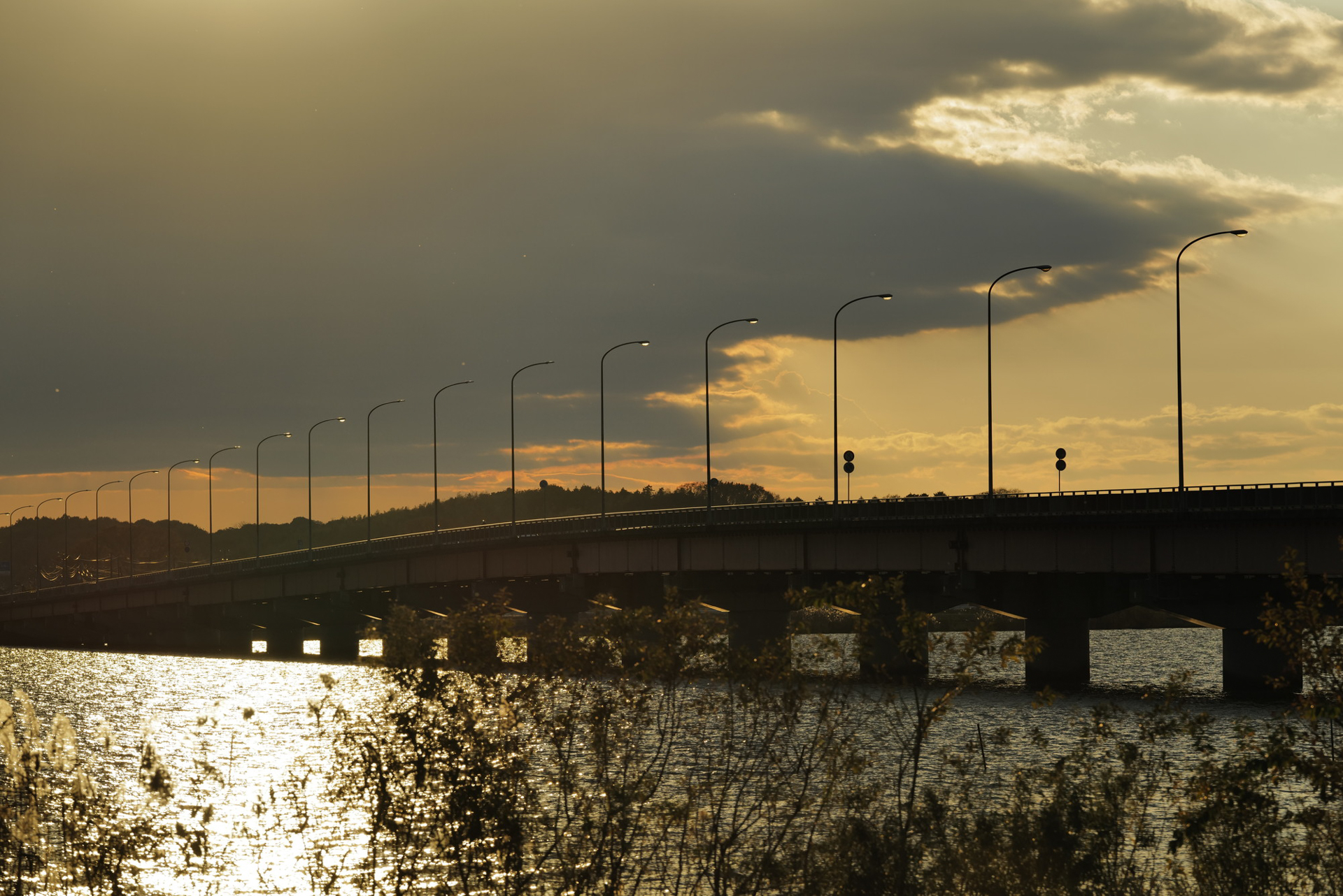 ライカ SL2／70-200mm F2.8 DG DN OS｜Sports／絞り優先AE（F7.1、1/1,000秒、−0.6EV）／ISO 200