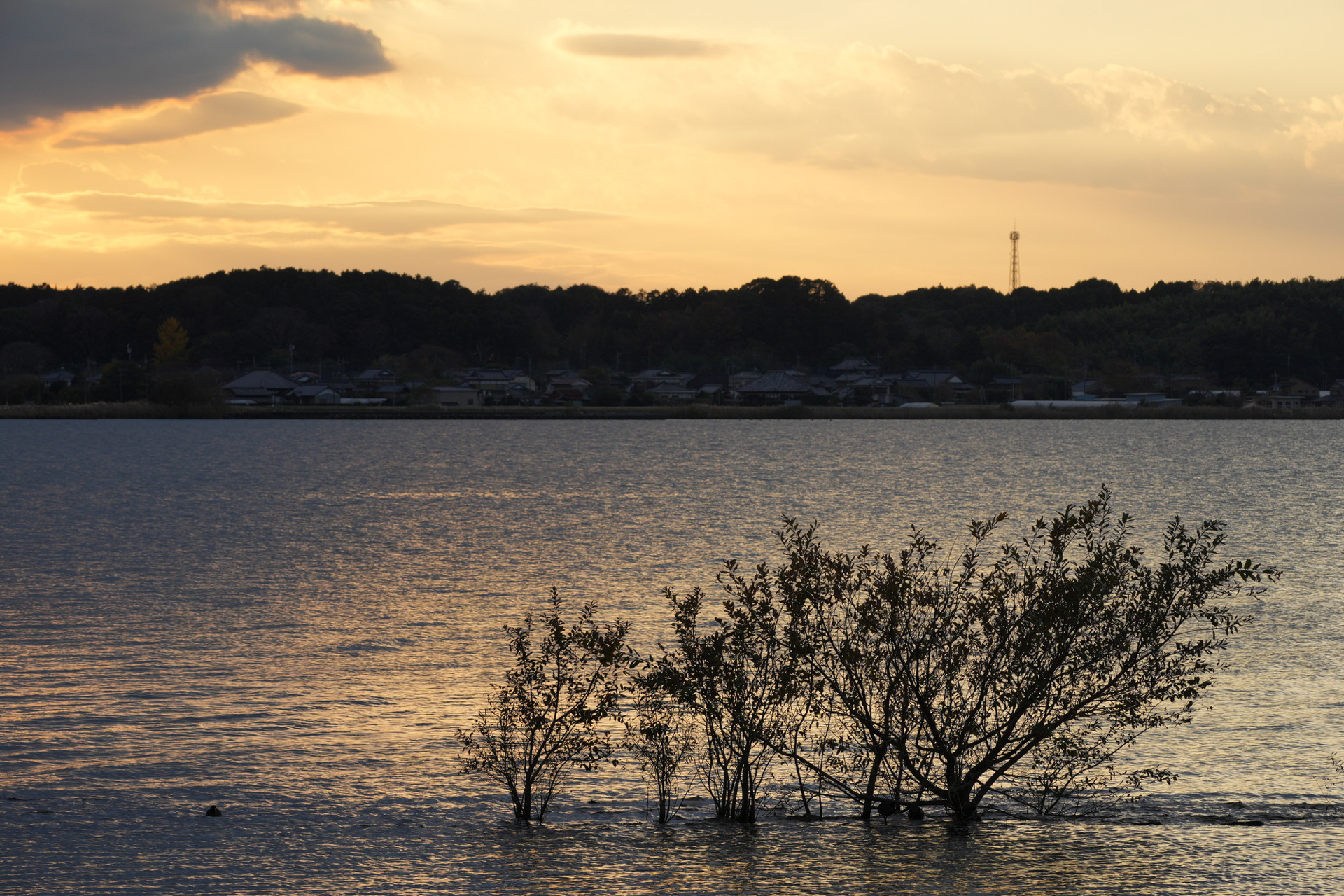 ソニー α1／60-600mm F4.5-6.3 DG DN OS｜Sports／絞り優先AE（F11、1/125秒）／ISO 200