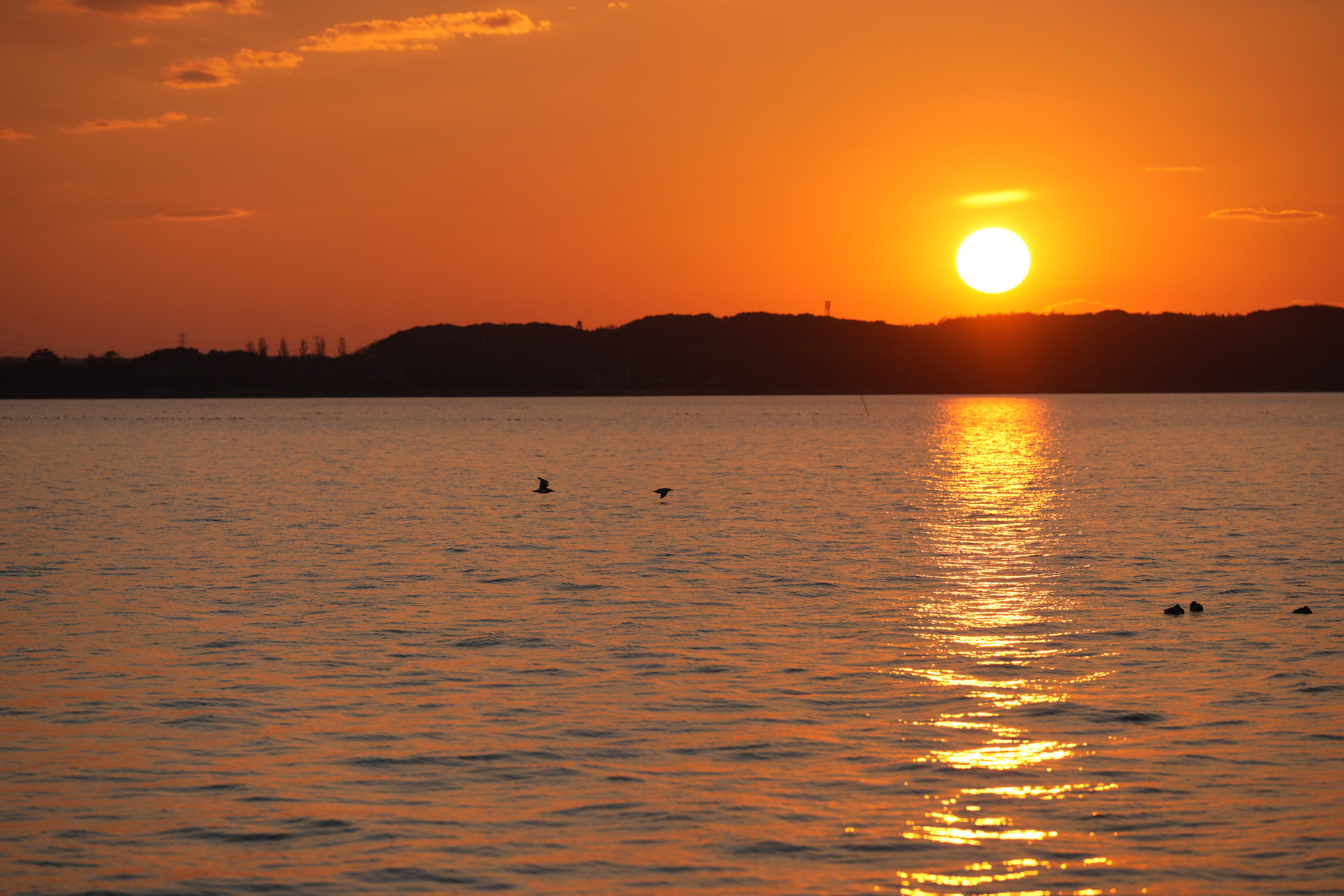 ソニー α1／FE 70-200mm F2.8 GM OSS II／絞り優先AE（F5、1/2,000秒、−0.7EV）／ISO 200