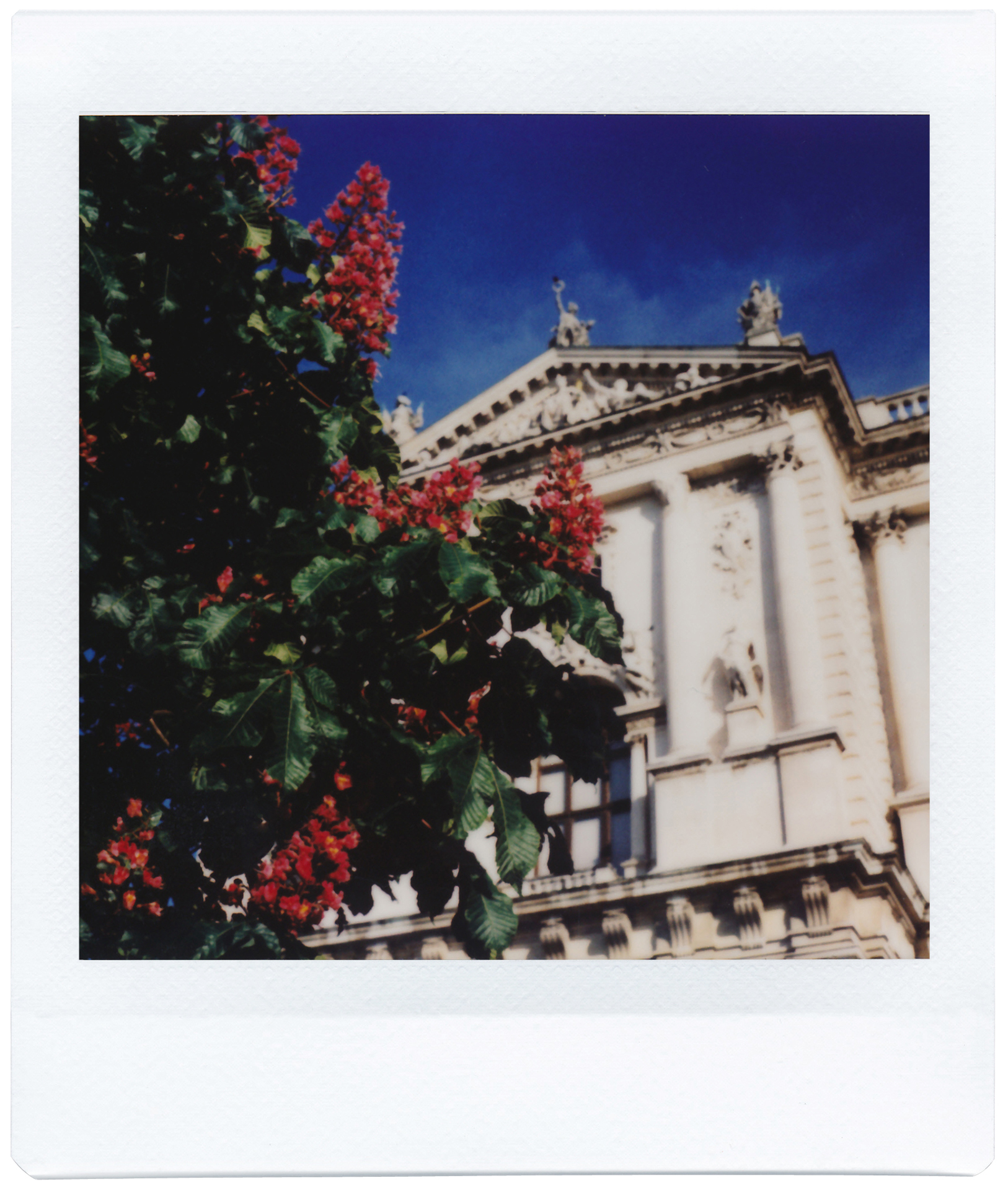 メーカー提供（使用フィルム：instax SQUARE）